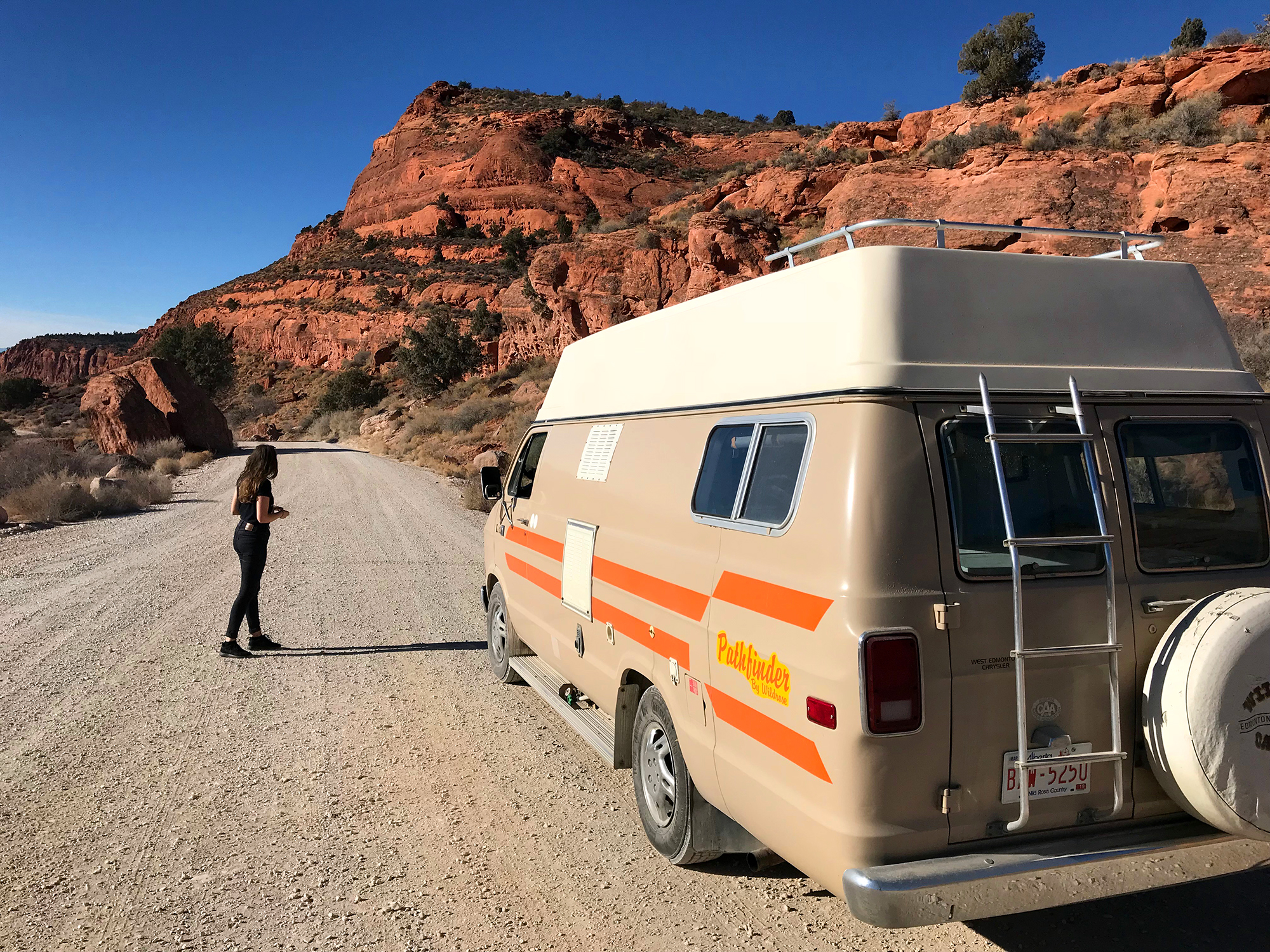 Generic Van Life - Dixie Forest
