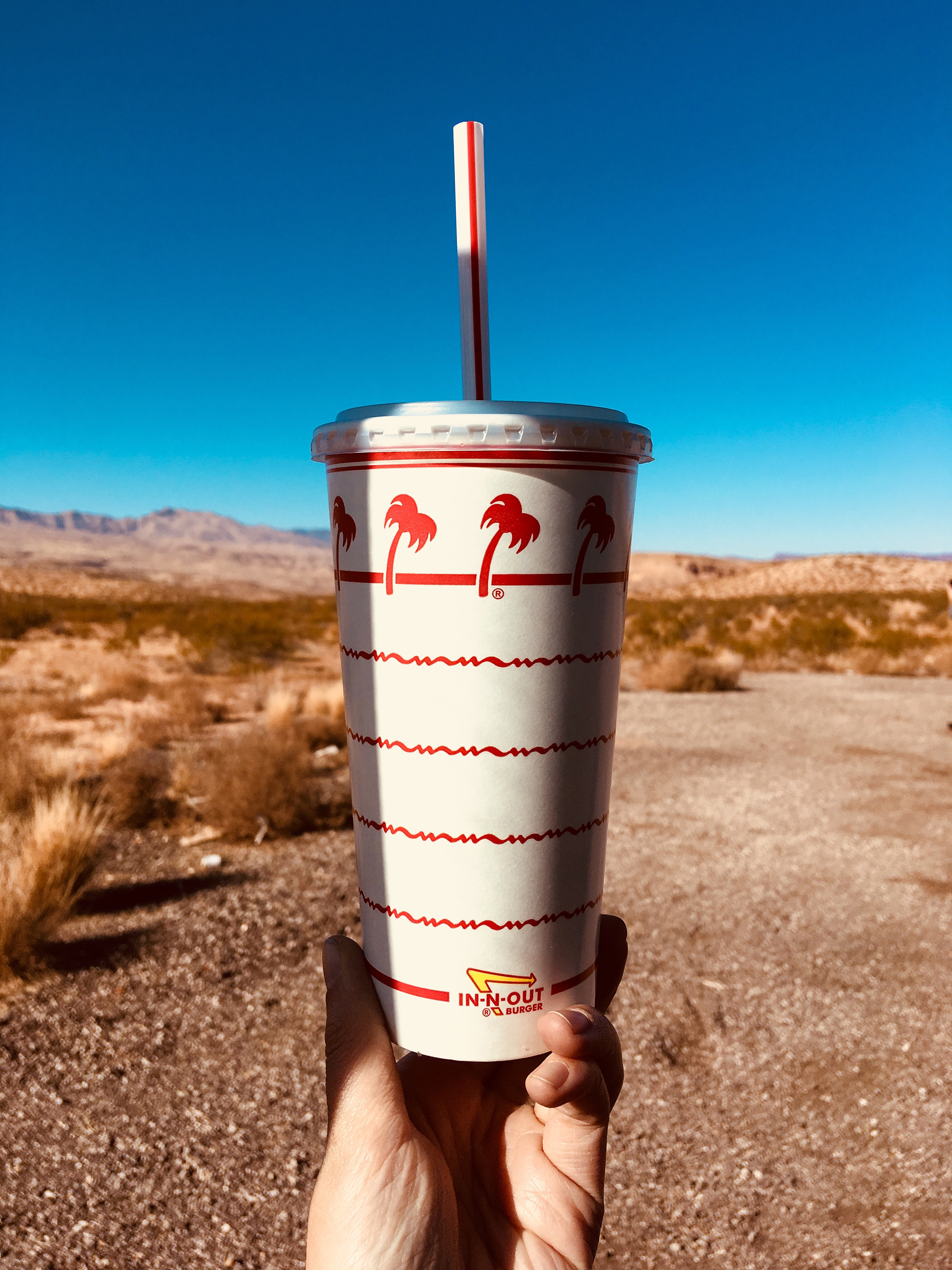 Generic Van Life - In N Out