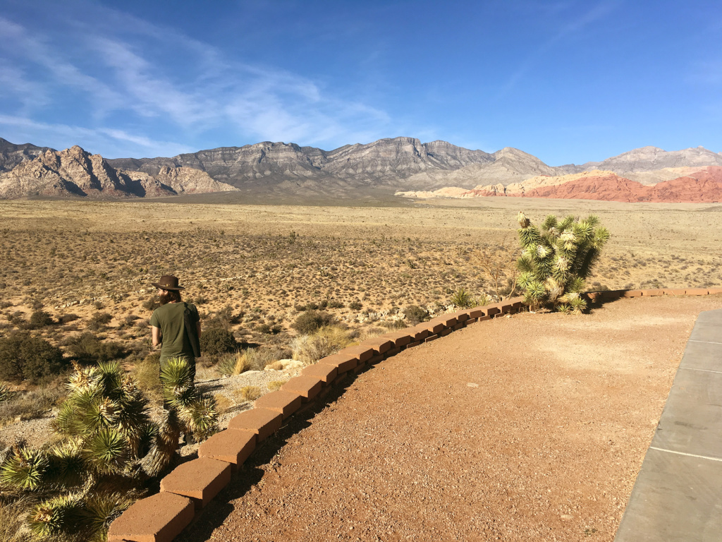 Generic Van Life - Red Rock Canyon Justin