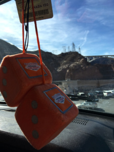 Generic Van Life - Vegas Fuzzy Dice