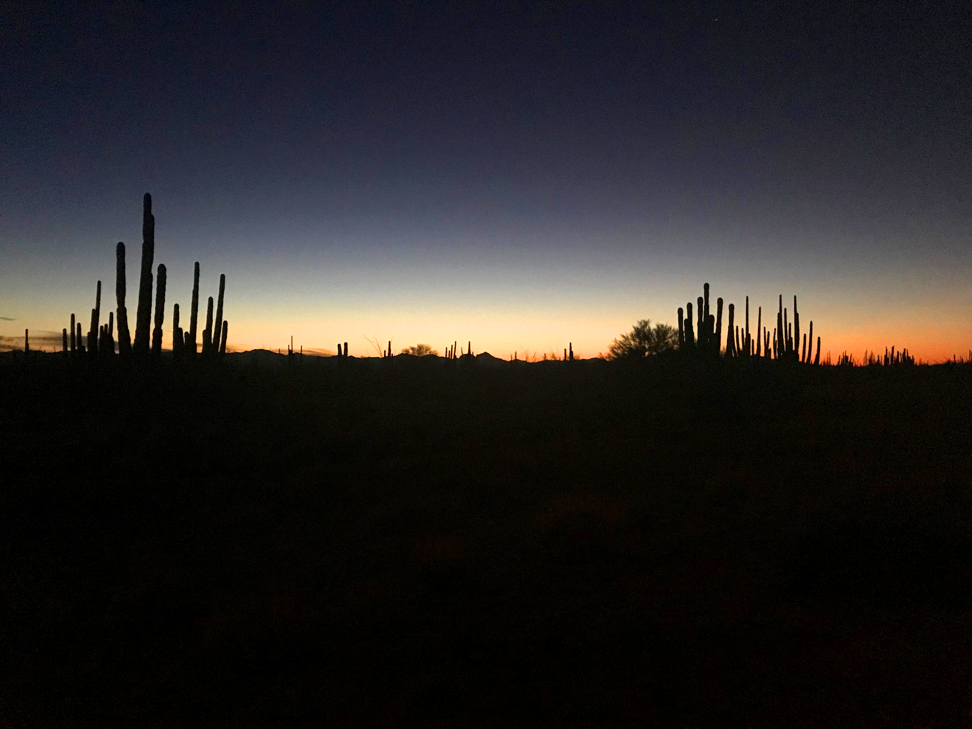 Generic Van Life - Puerto Penasco Drive