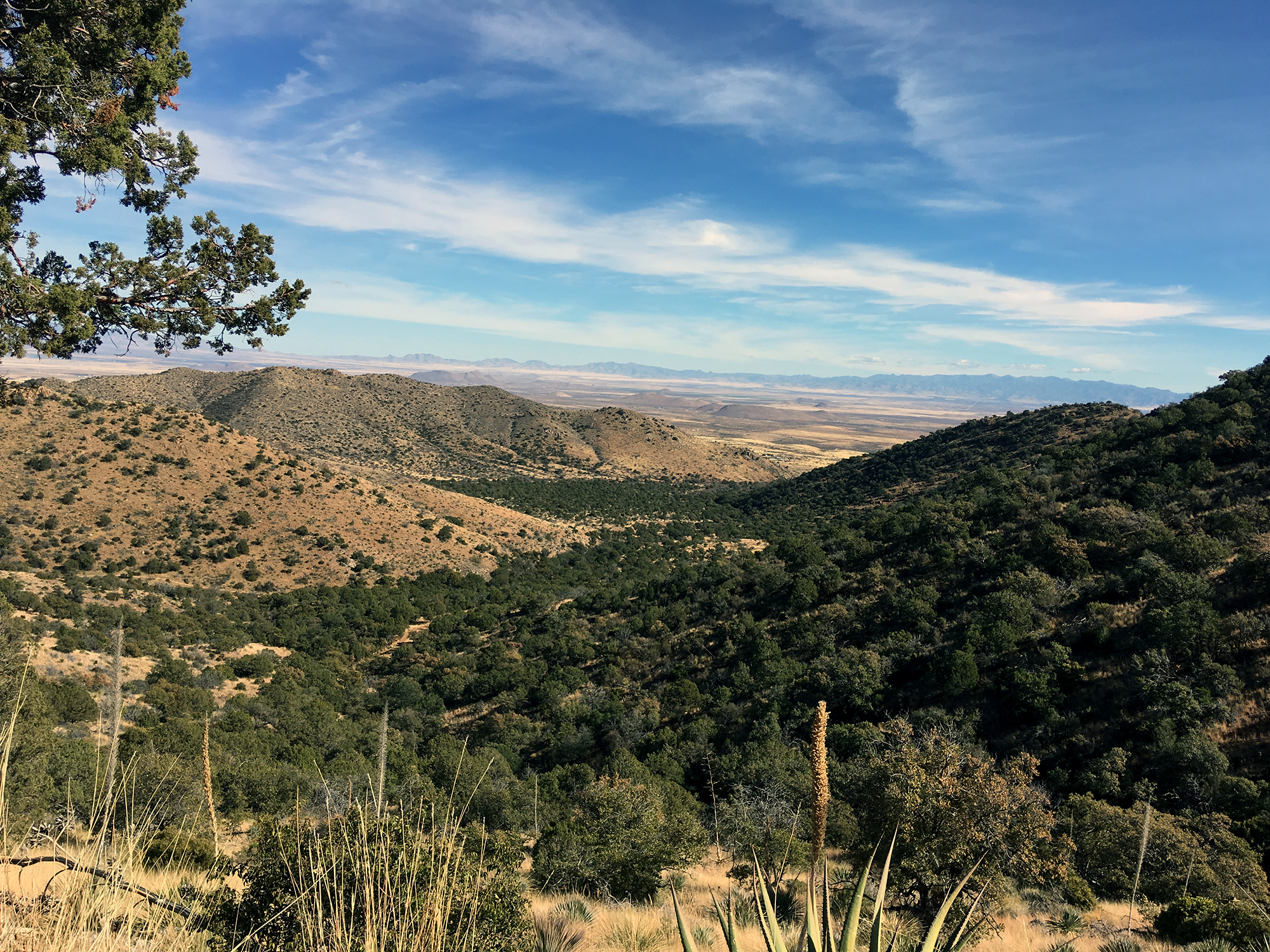 Generic Van Life - Tucson Coronado Forest
