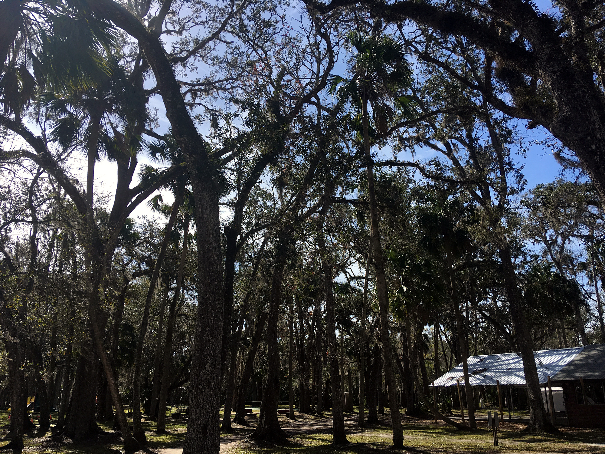 Generic Van Life - Navarre New Smyrna Beach