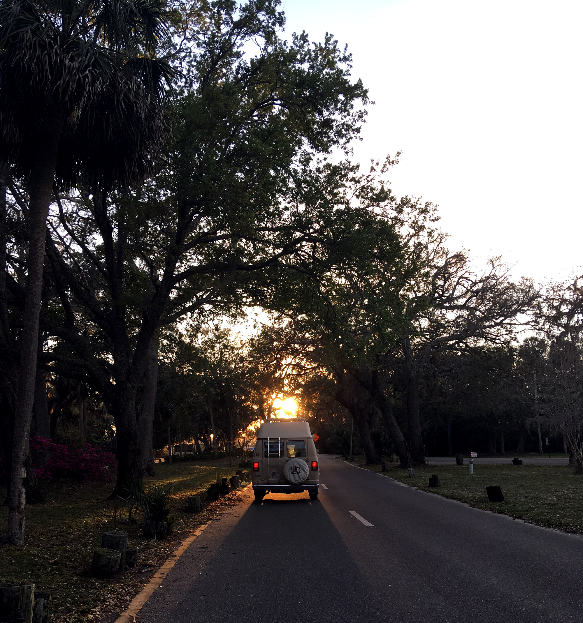 Generic Van Life - Florida Hanna Park