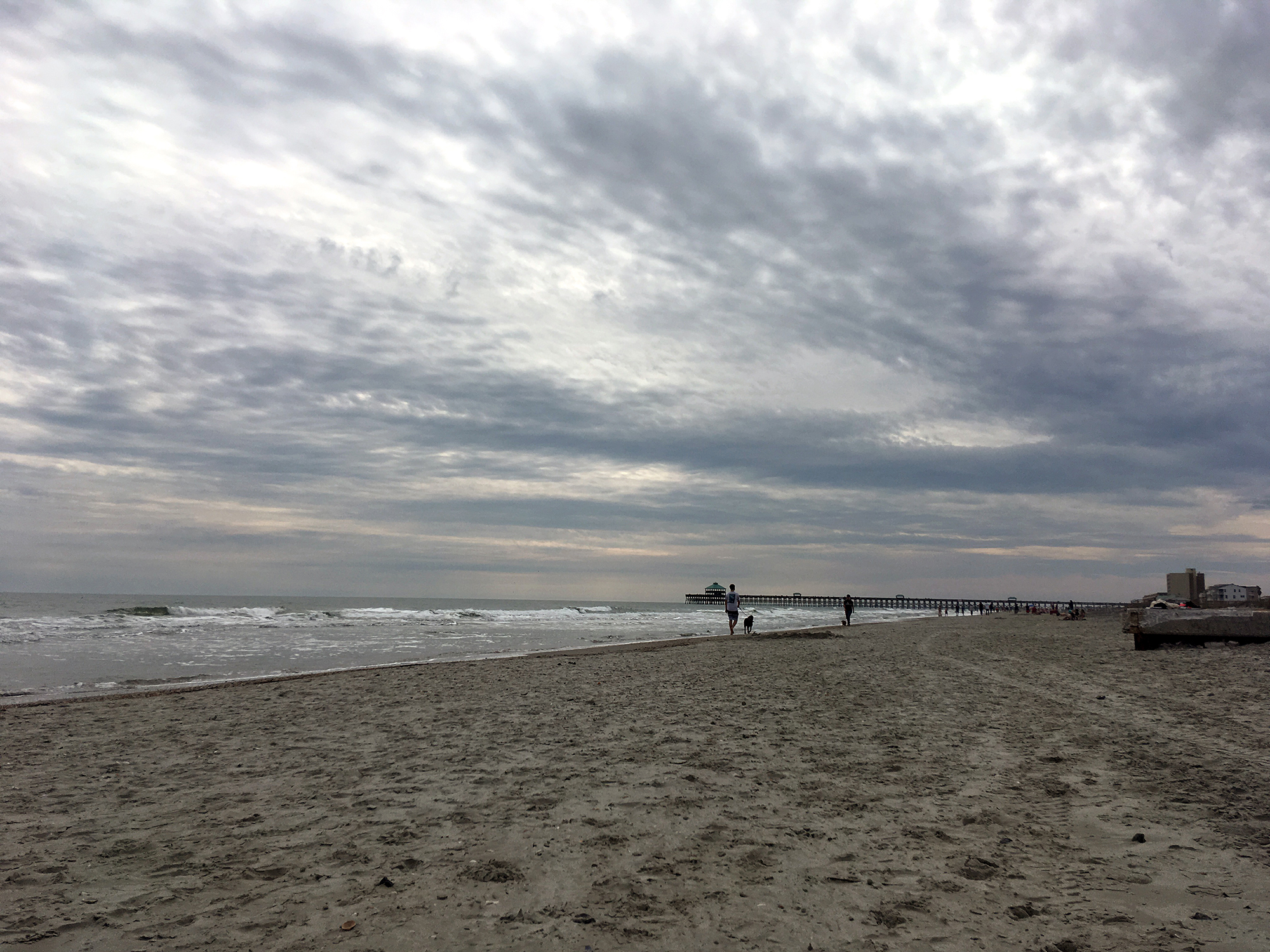 Generic Van Life - Georgia Folly Beach