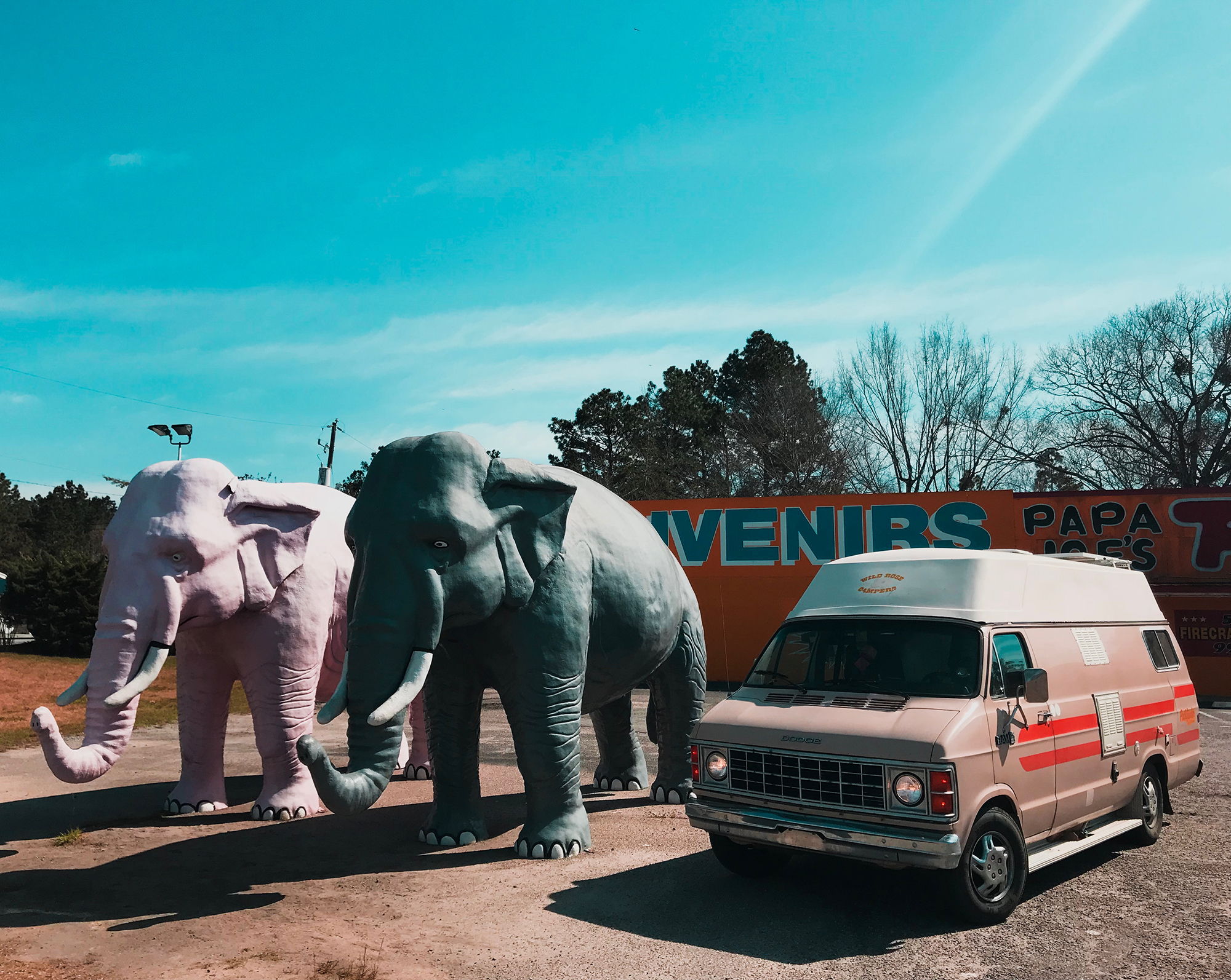 Generic Van Life - Georgia SC Elephants