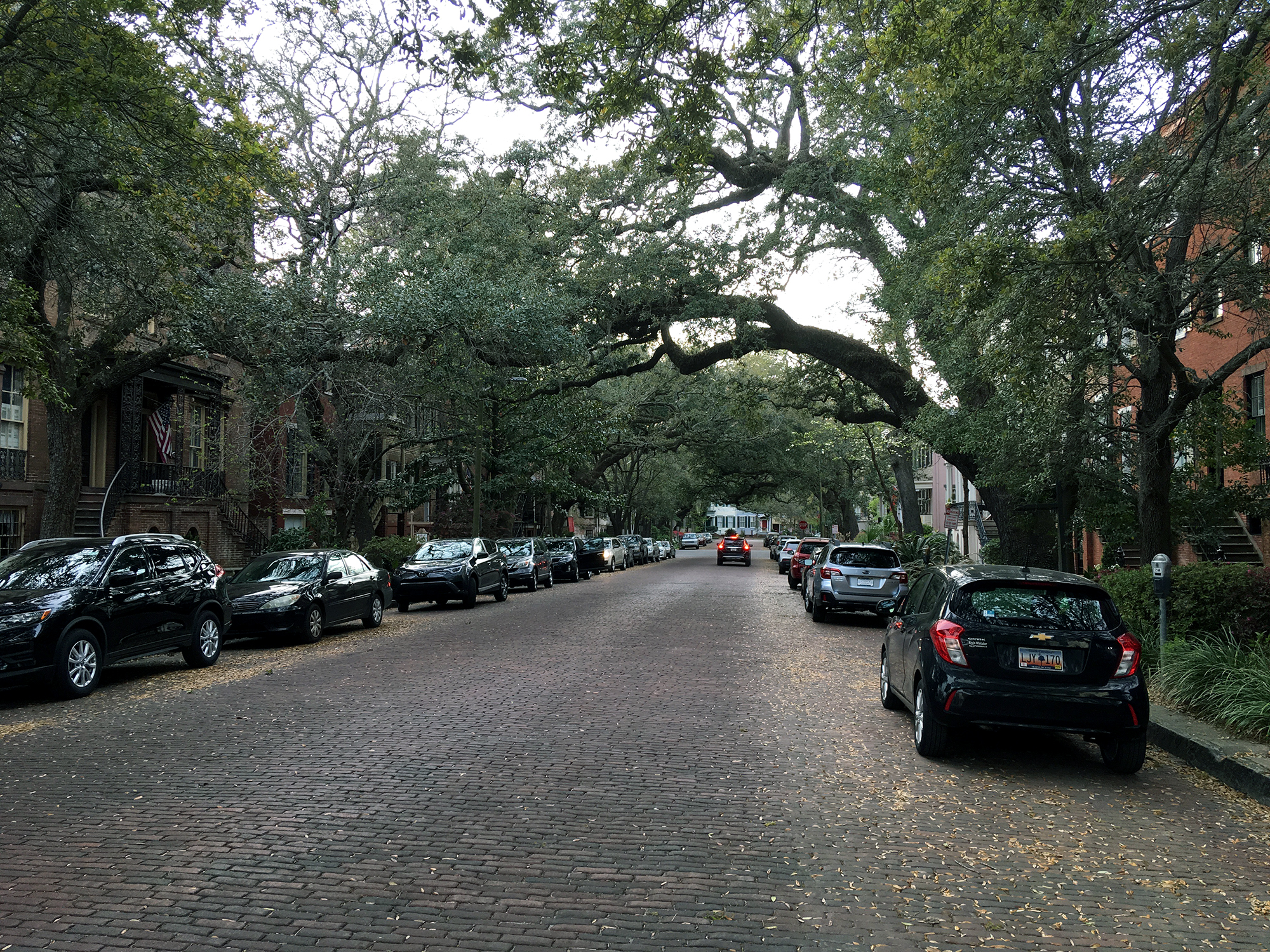 Generic Van Life - Georgia Savannah Street