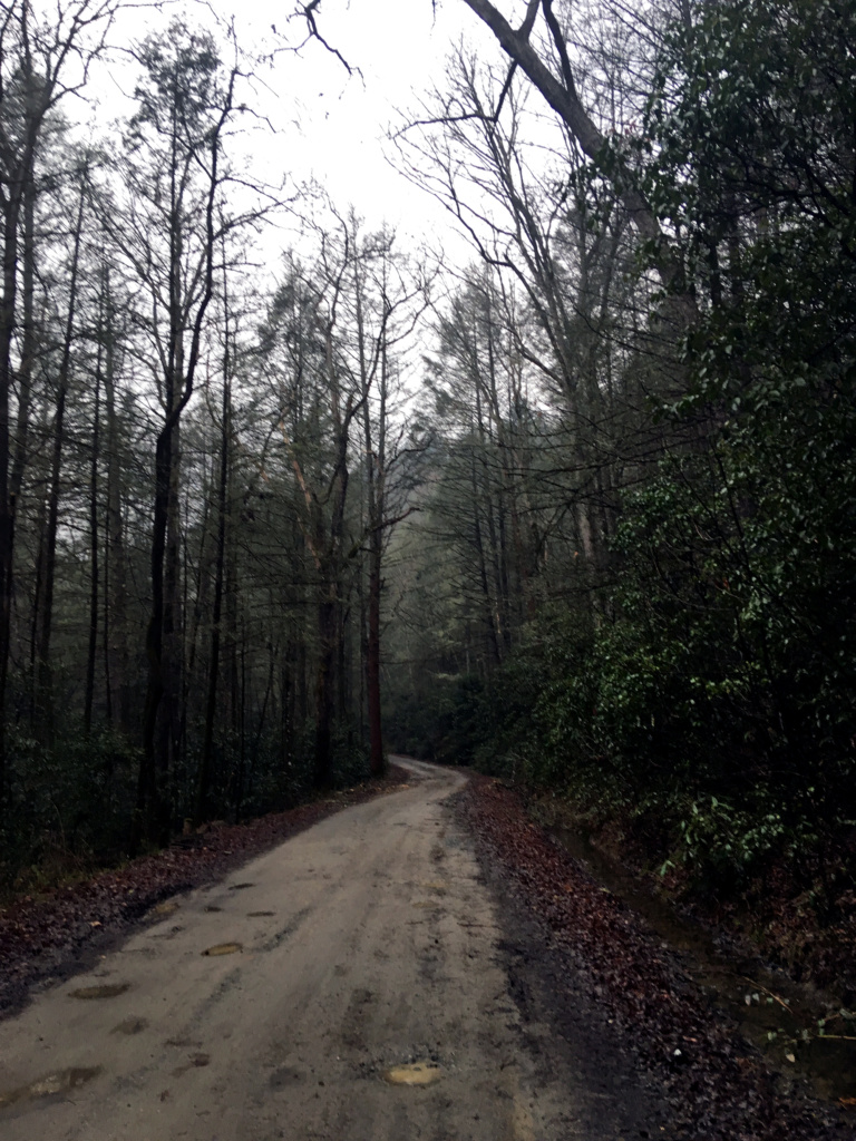 Generic Van Life - Tennessee Forest