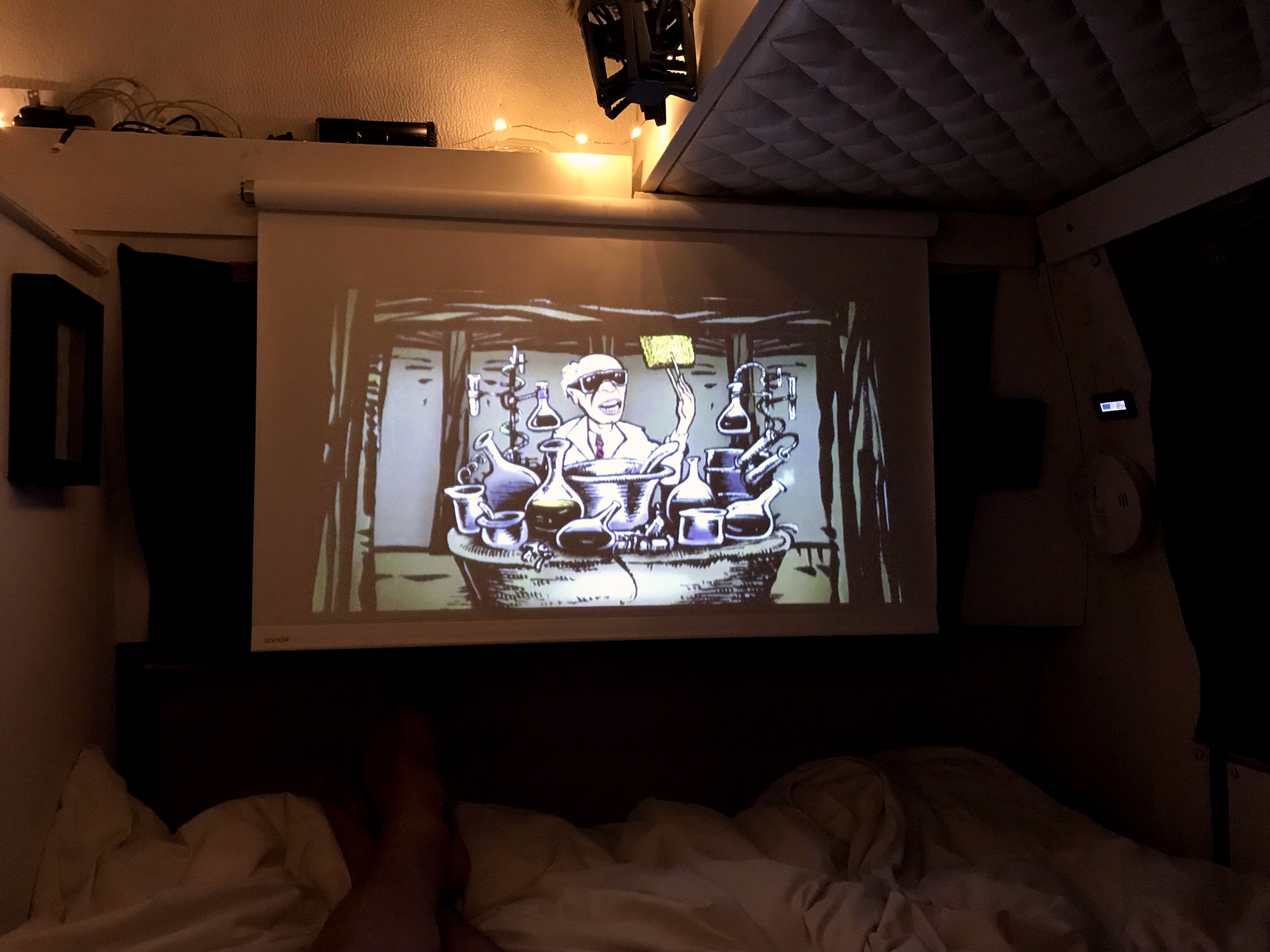 Generic Van Life - Albuquerque Projector