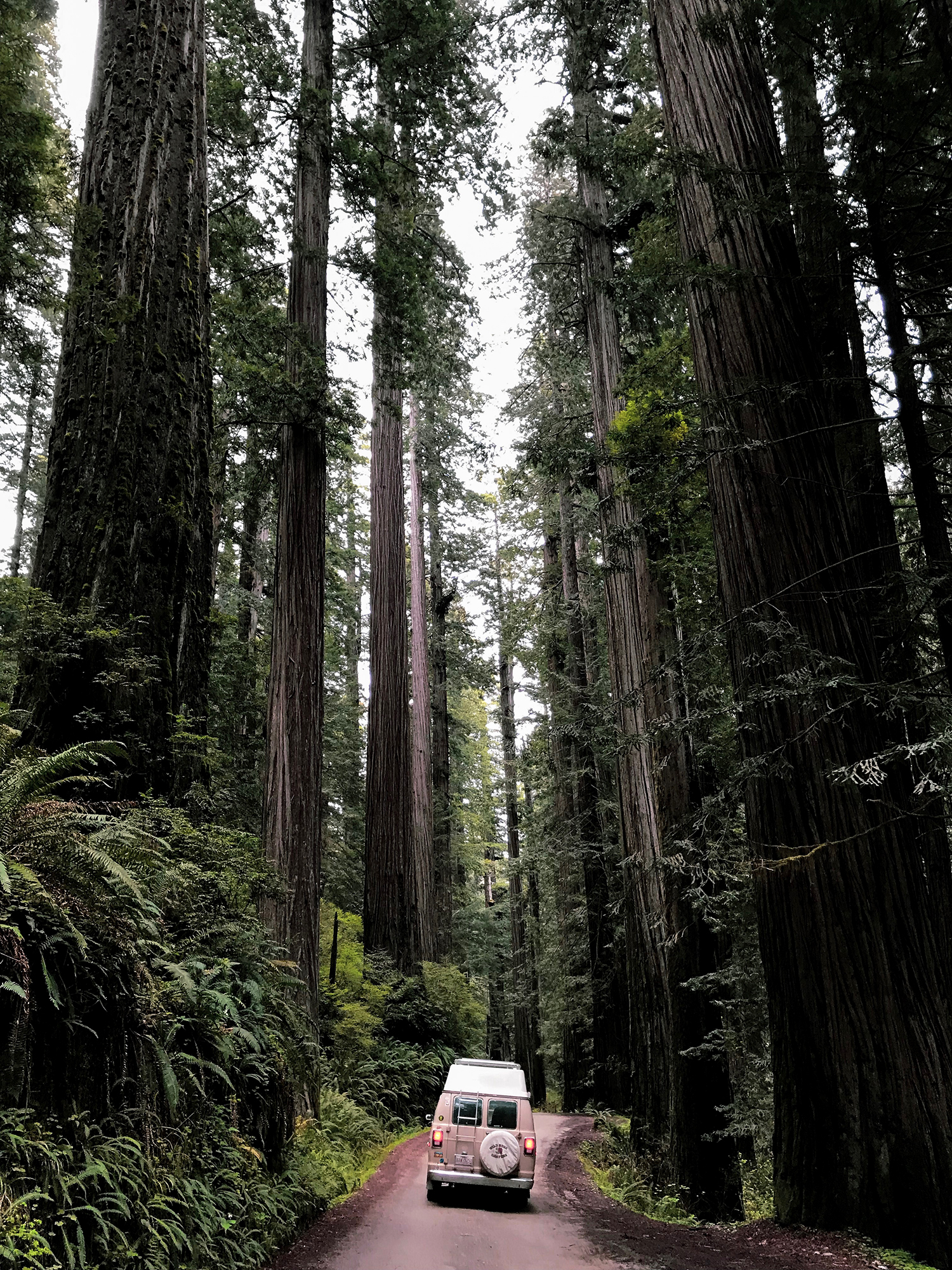 Generic Van Life - Northern California Howland Hill Road