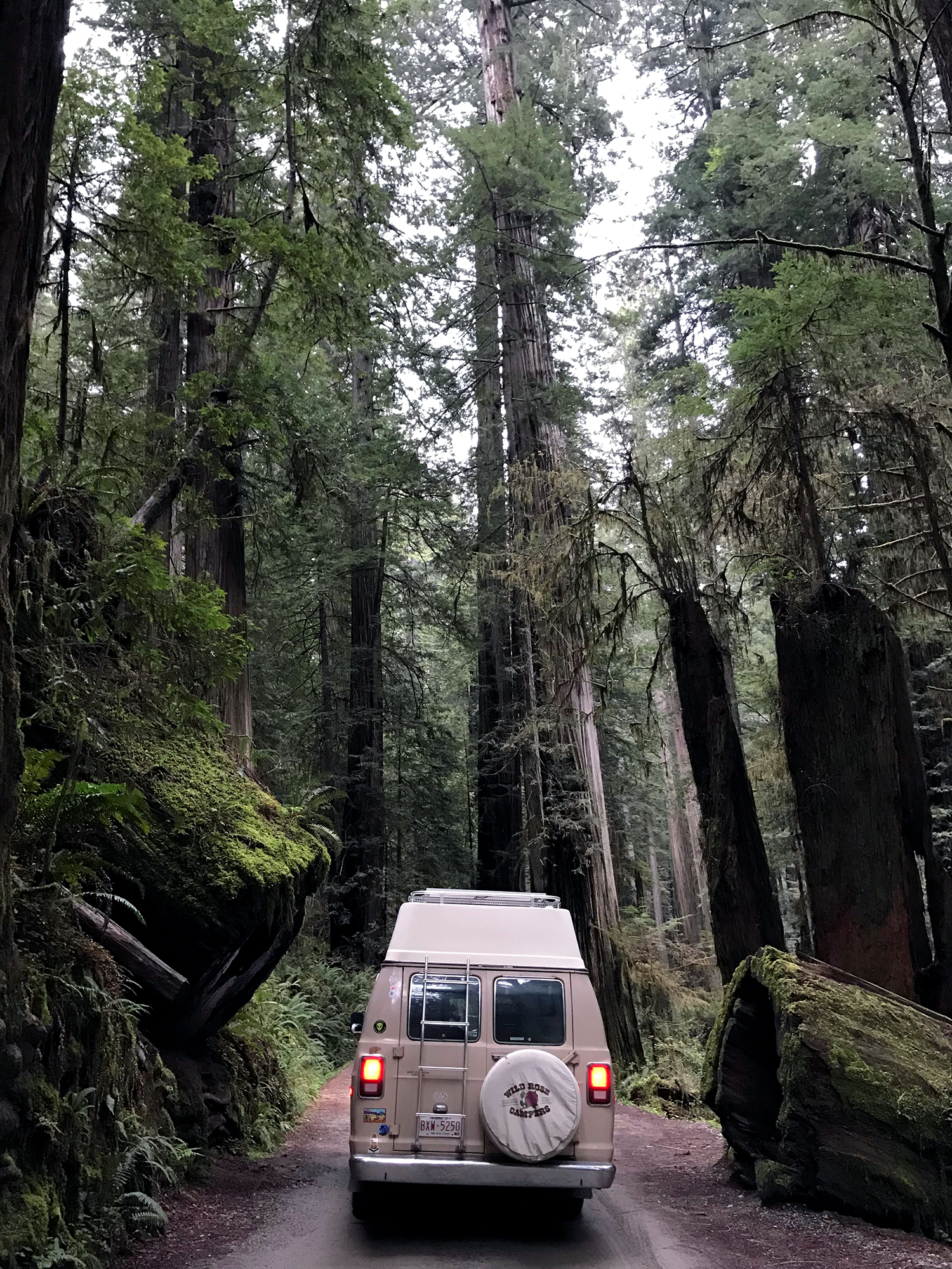Generic Van Life - Northern California Redwoods
