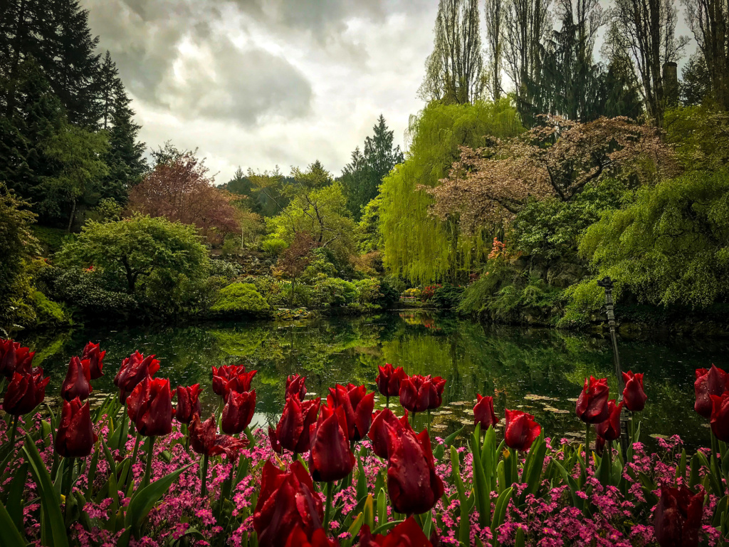 Generic Van Life - Vancouver Island Butchart Gardens Roses