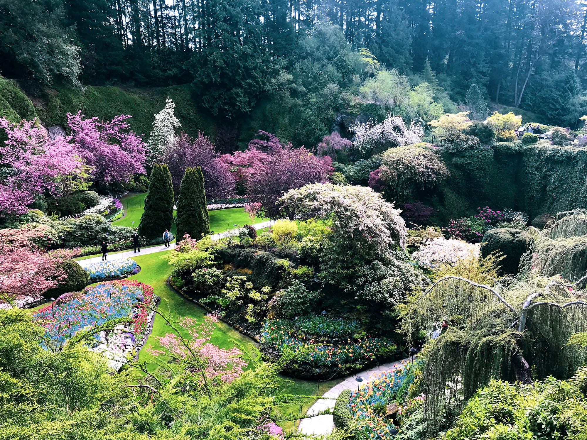 Generic Van Life - Vancouver Island Butchart Gardens Sunken