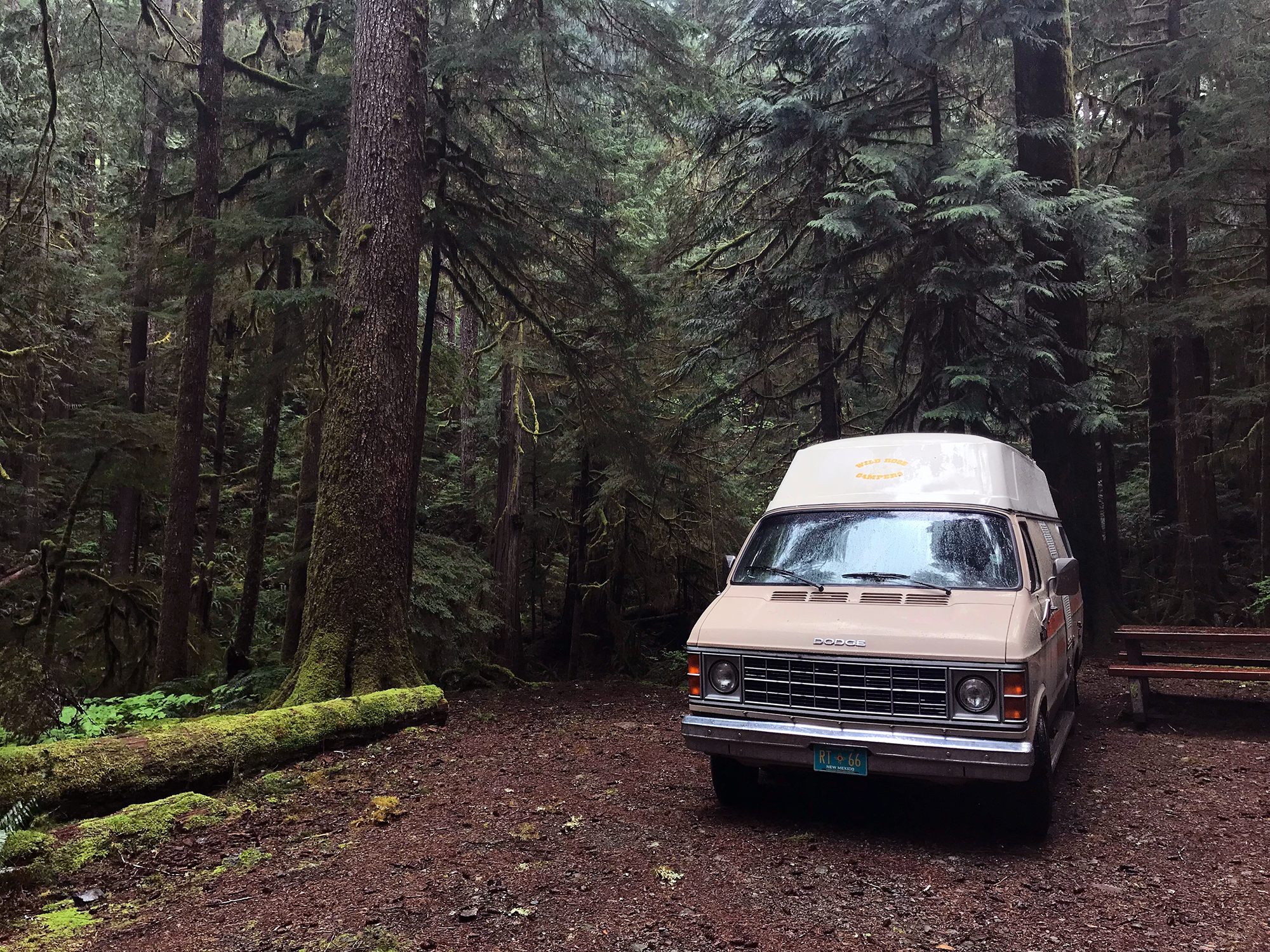 Generic Van Life - Vancouver Island Nahmint Lake