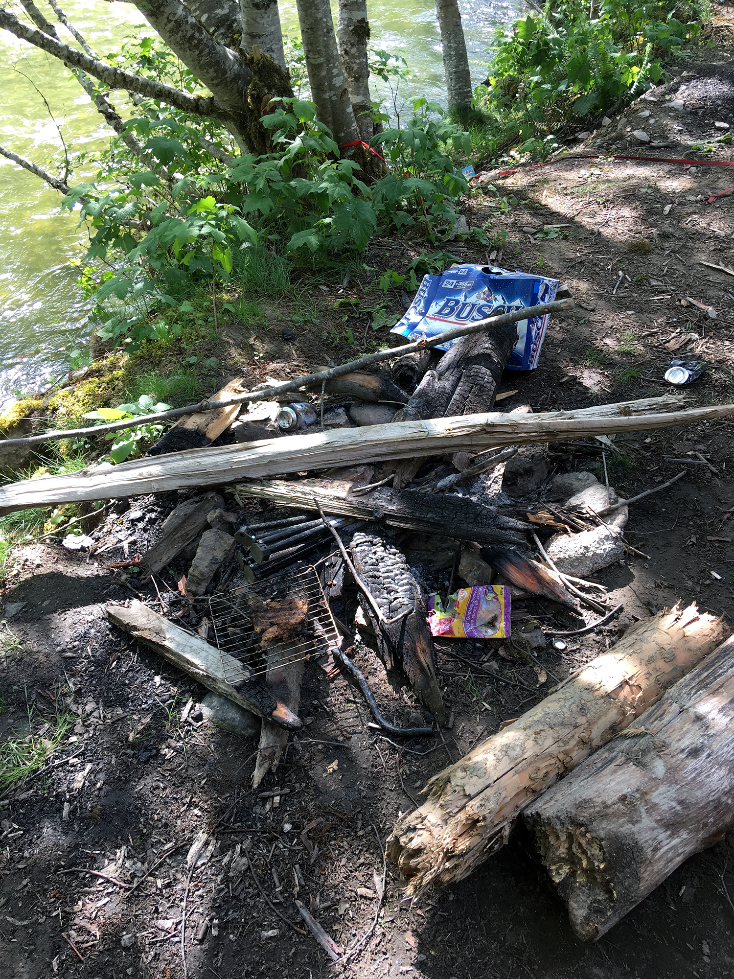 Generic Van Life - Vancouver Skagit River Trash