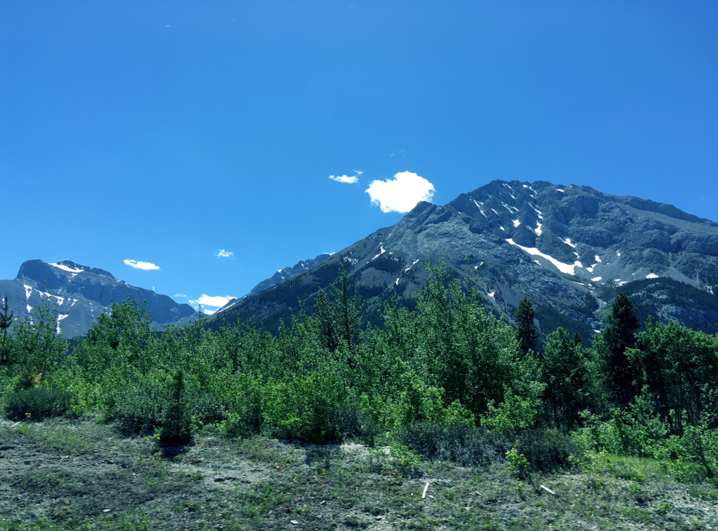 Generic Van Life - Alberta Crowsnest HIghway