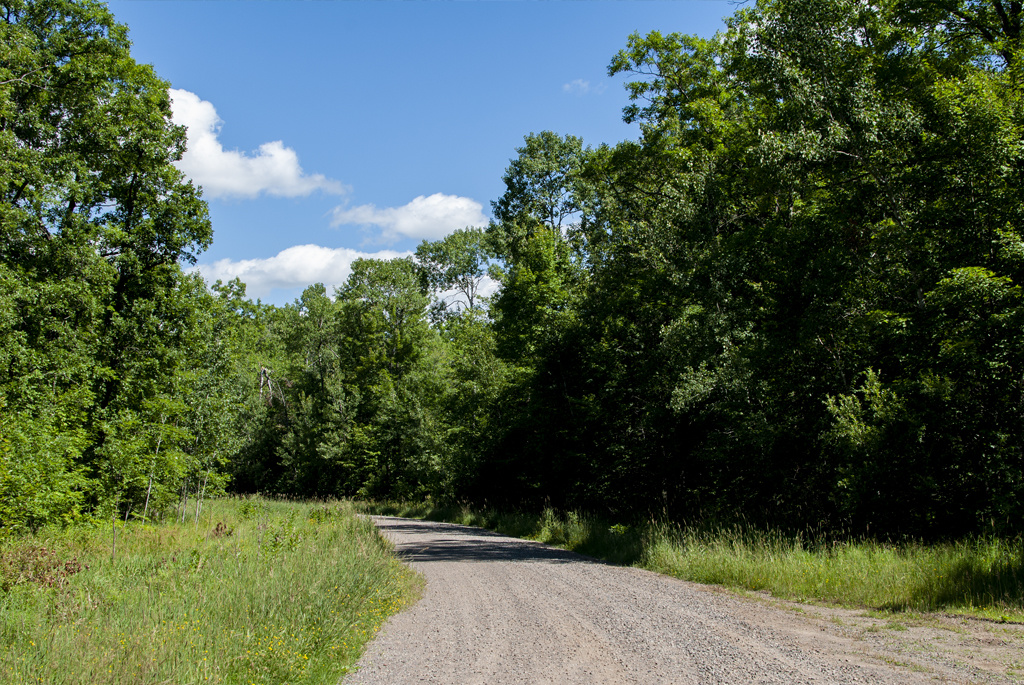 free-camping-in-minnesota-rum-river-state-forest-generic-van-life