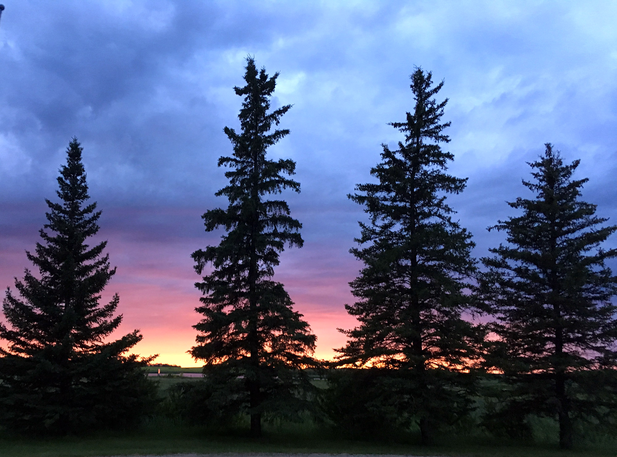 Generic Van Life - Friendly Manitoba Sunset Trees
