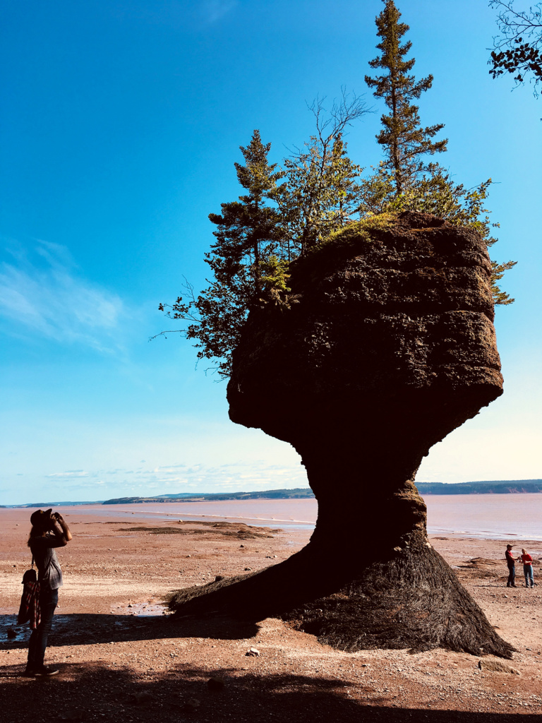 Generic Van Life - New Brunswick Tides Flowerpot Rock