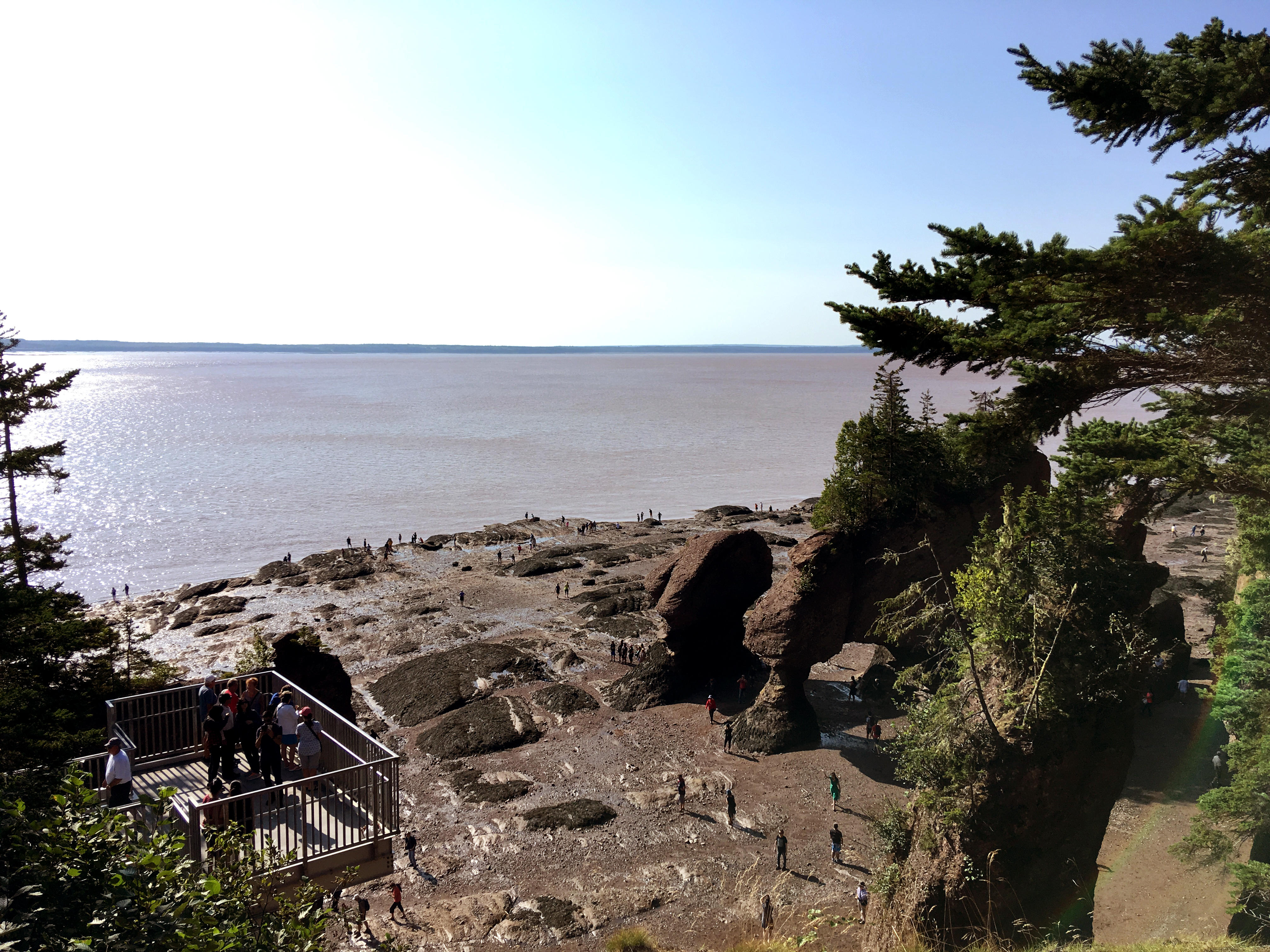 Generic Van Life - New Brunswick Tides Hopewell Rocks Low Tide
