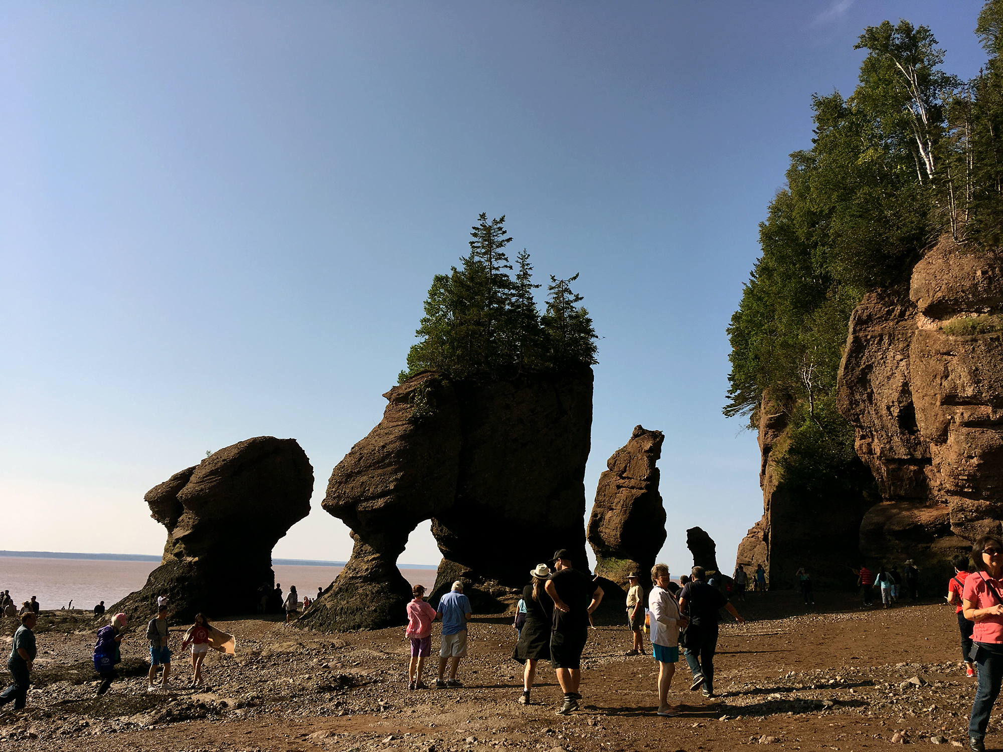Generic Van Life - New Brunswick Tides Hopewell Rocks Seafloor