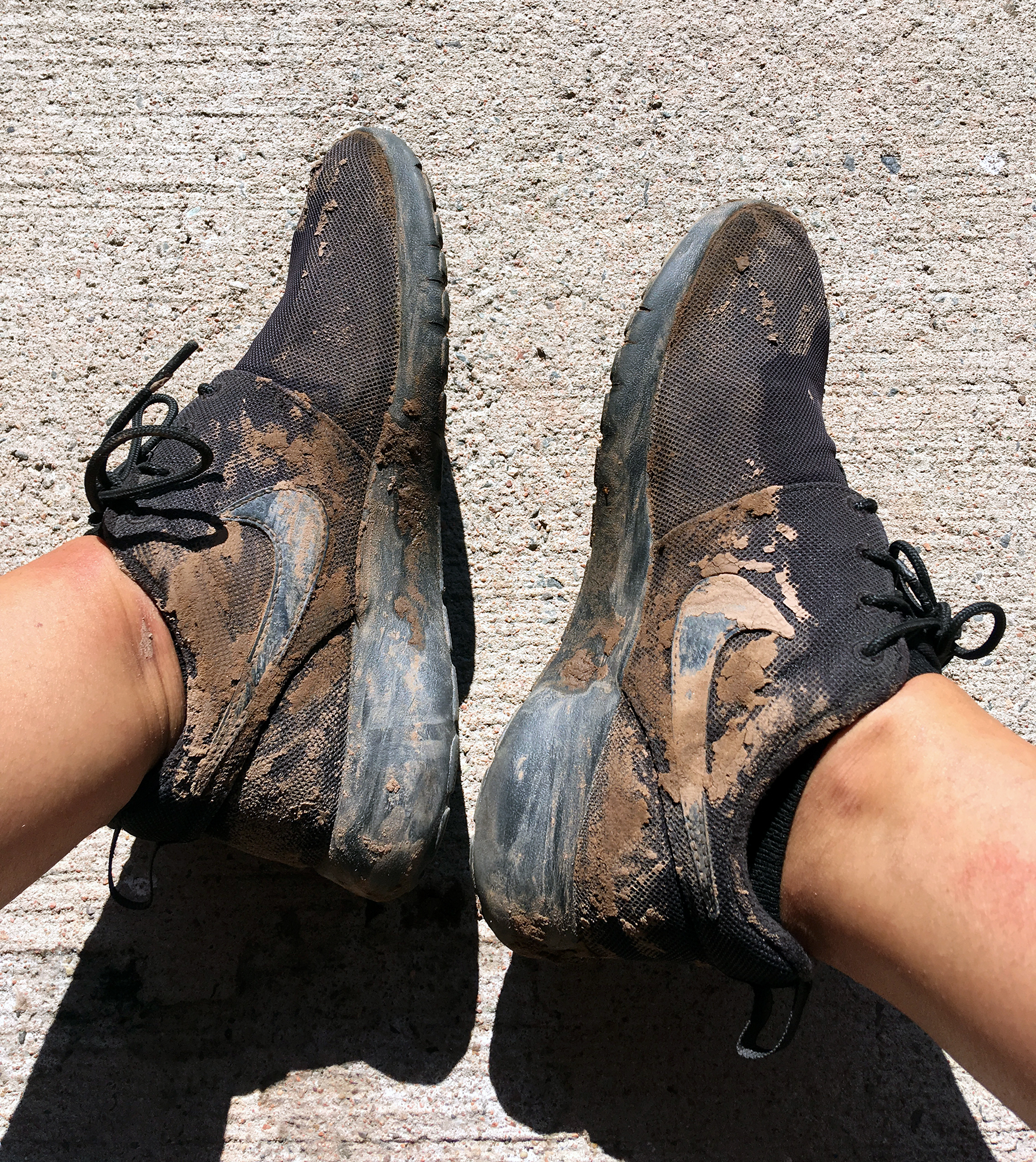 Generic Van Life - New Brunswick Tides Muddy Shoes