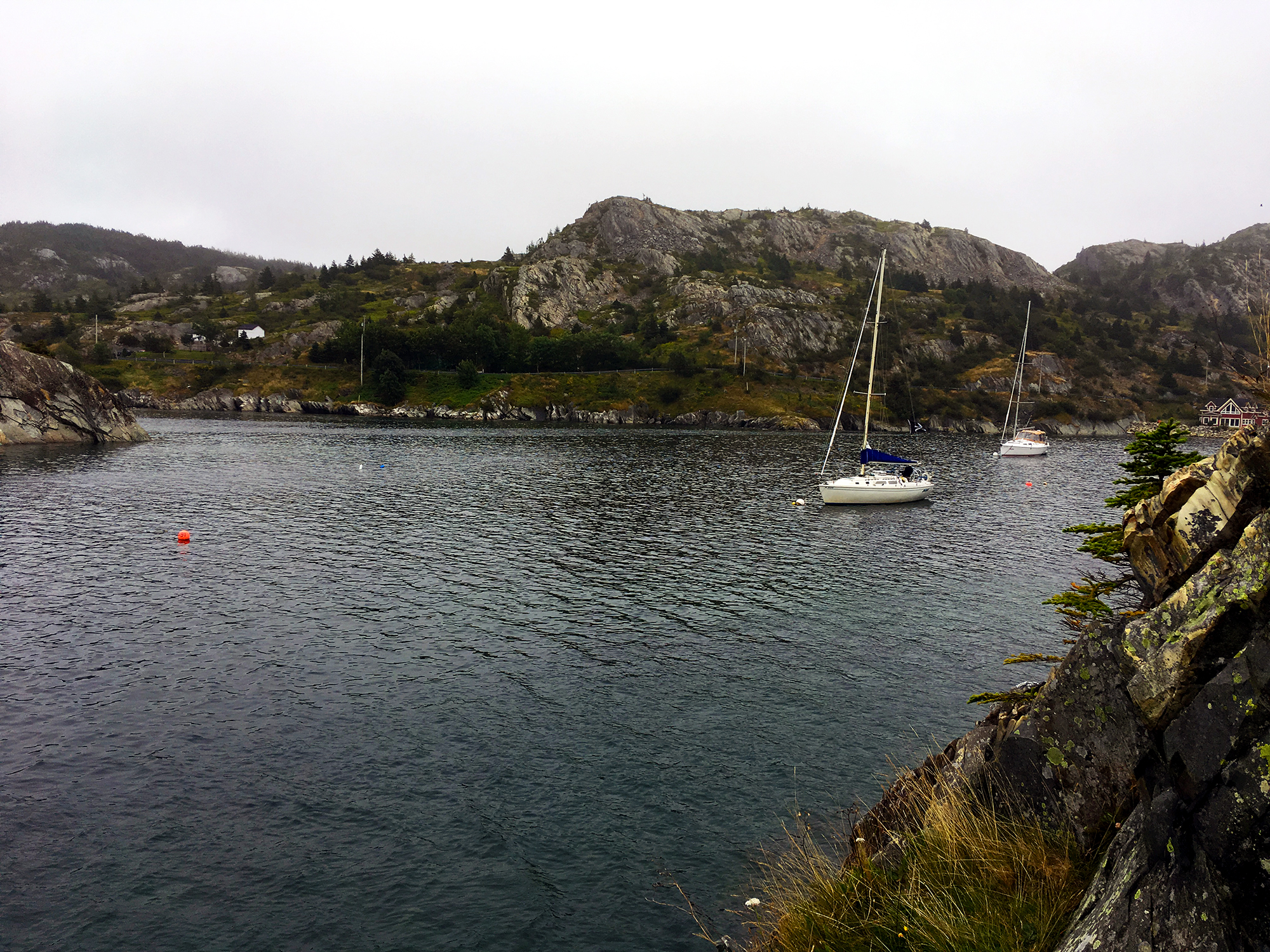 Generic Van Life Newfoundland Brigus Sailboat