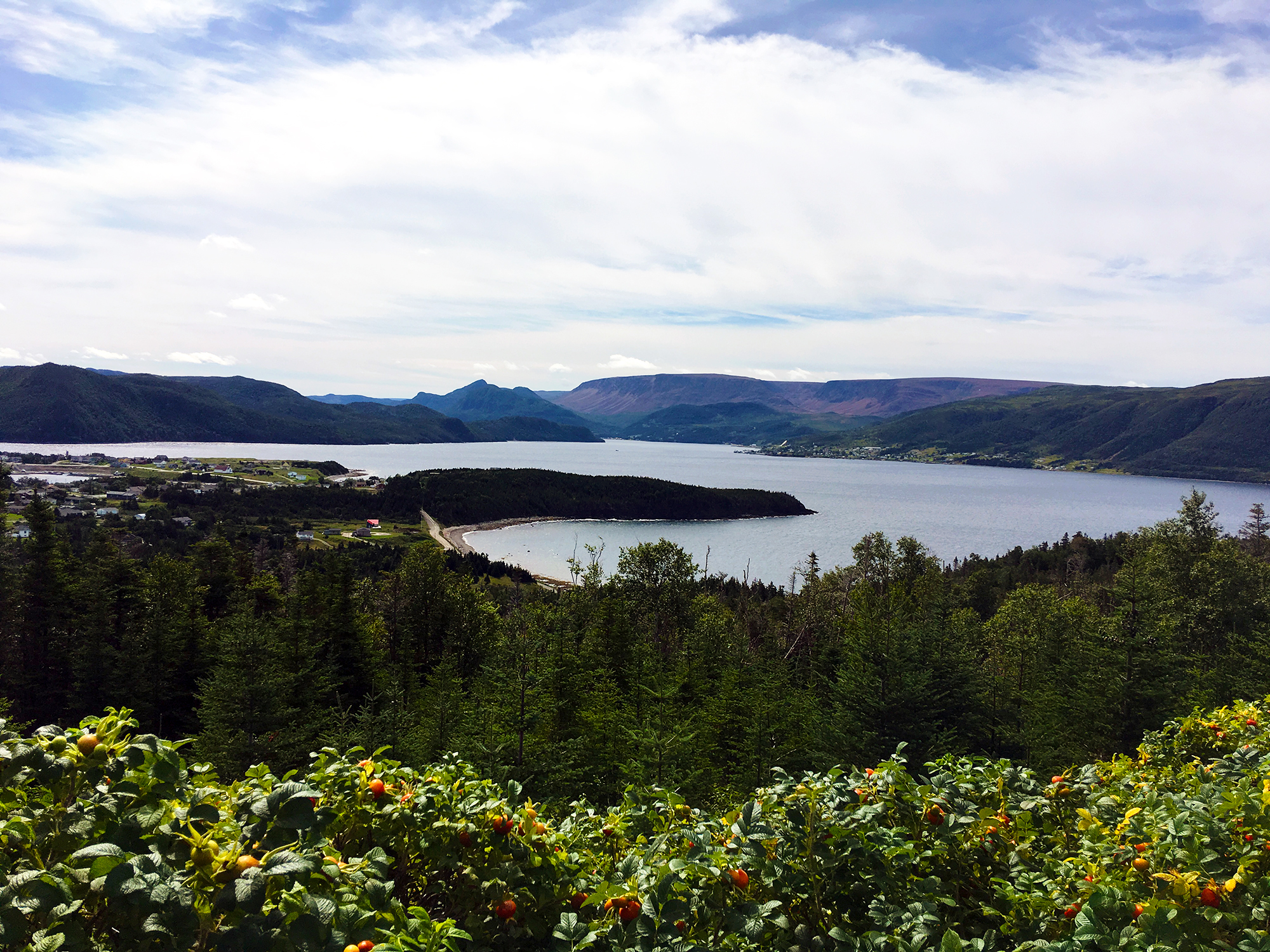 Generic Van Life - Newfoundland Norris Point