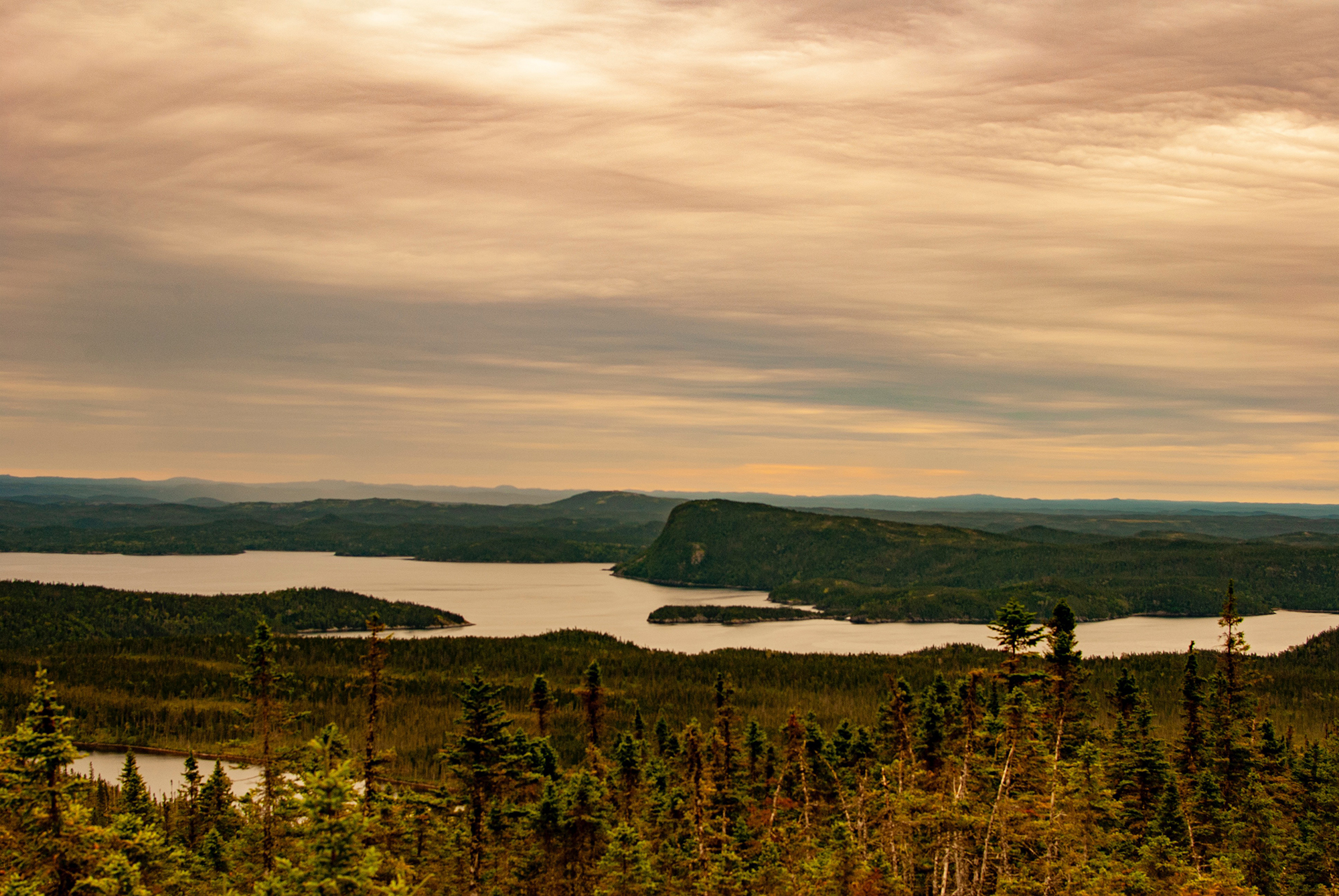 Generic Van Life - Newfoundland Terra Nova Blue Hill
