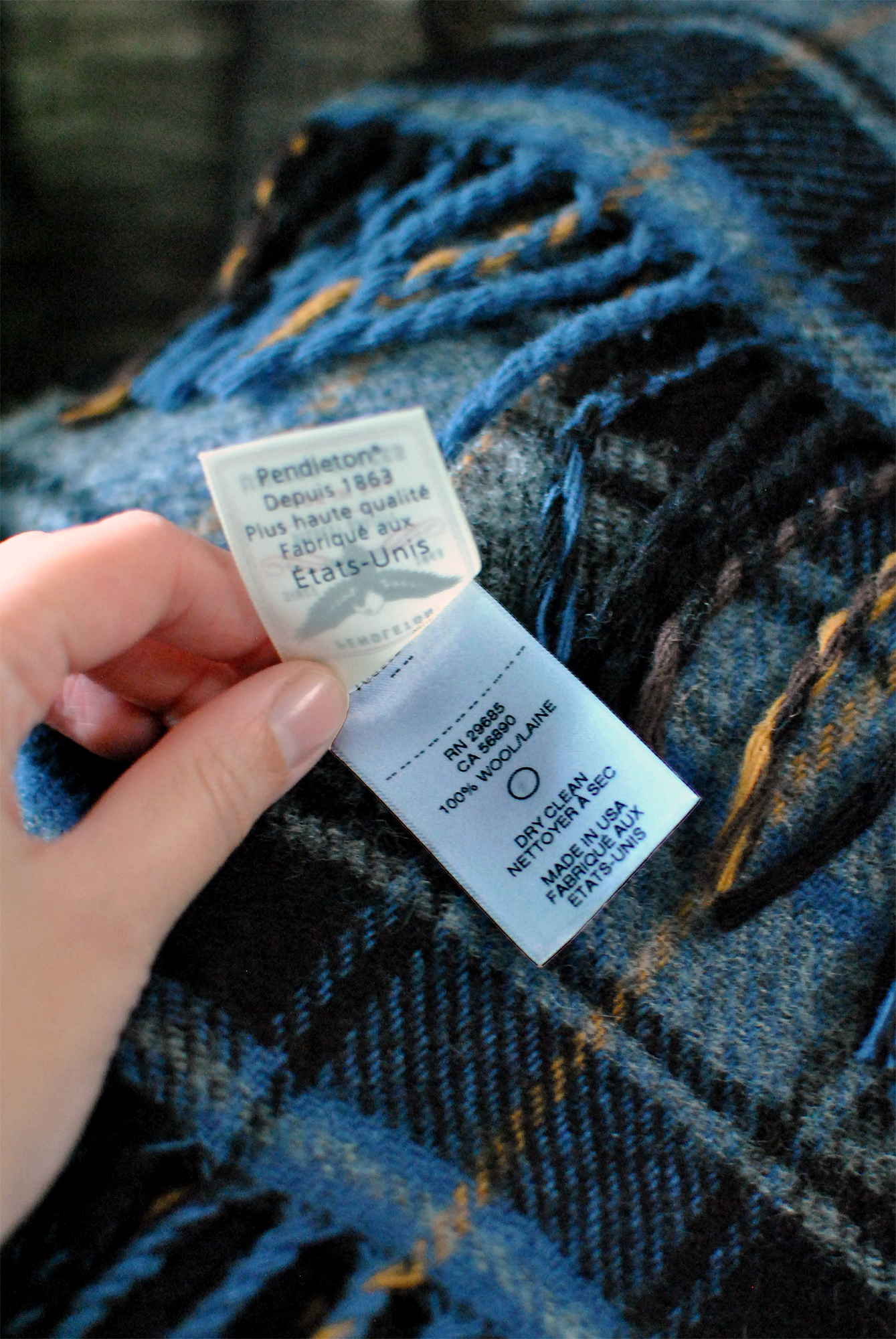 Generic Van Life - Winterization Tips for Vanlifers - Pendleton Wool Blanket