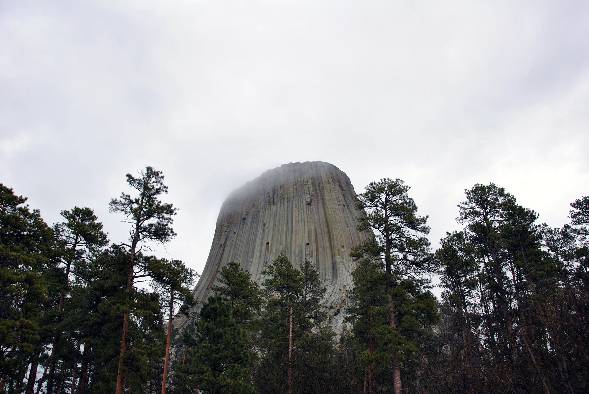 Generic Van Life - Dippin Back Down to the USA - Devils Tower