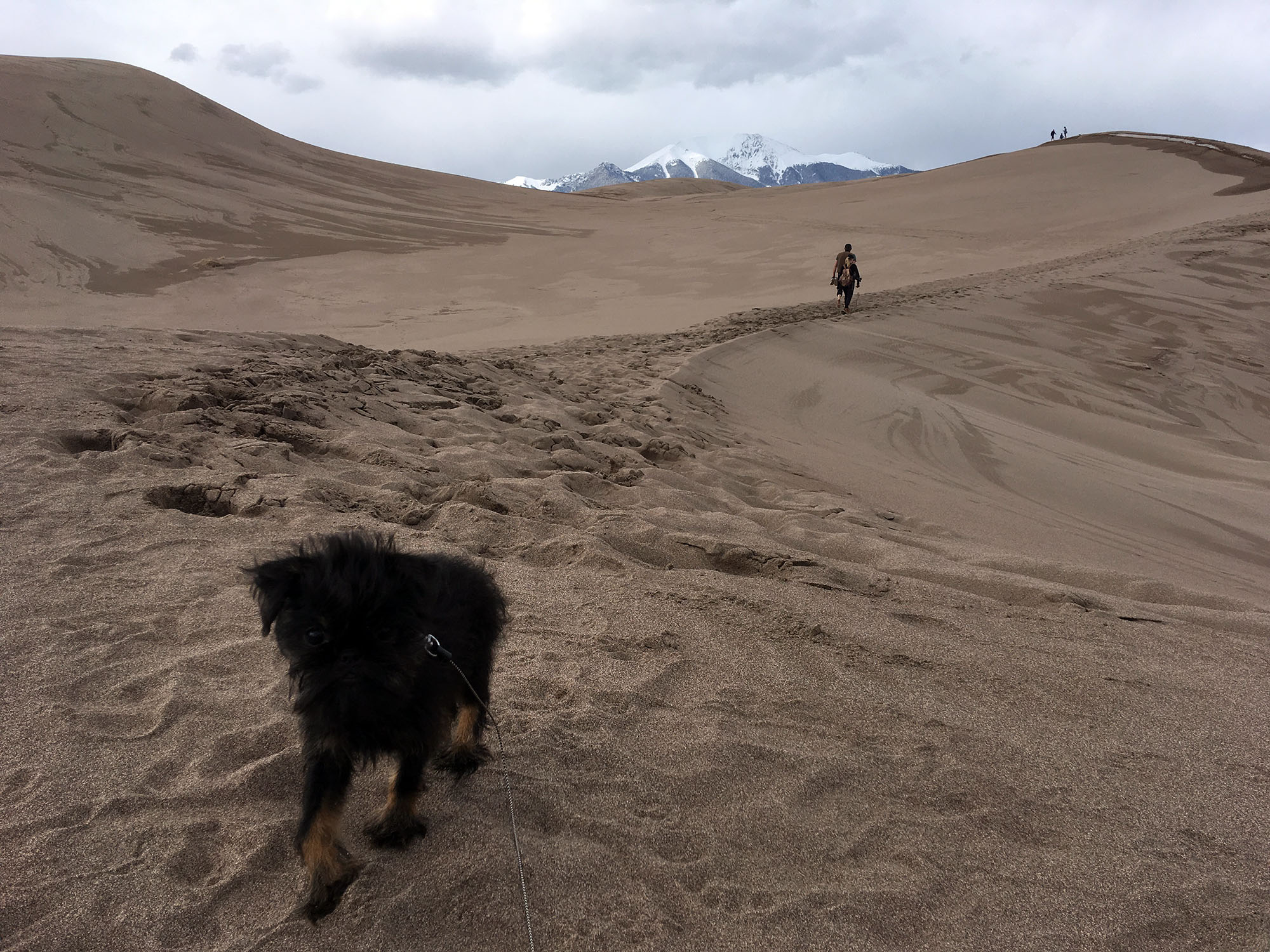 Generic Van Life - Getting Rocky Mountain Fresh in Colorful Colorado - Pierogi at Great Sand Dunes