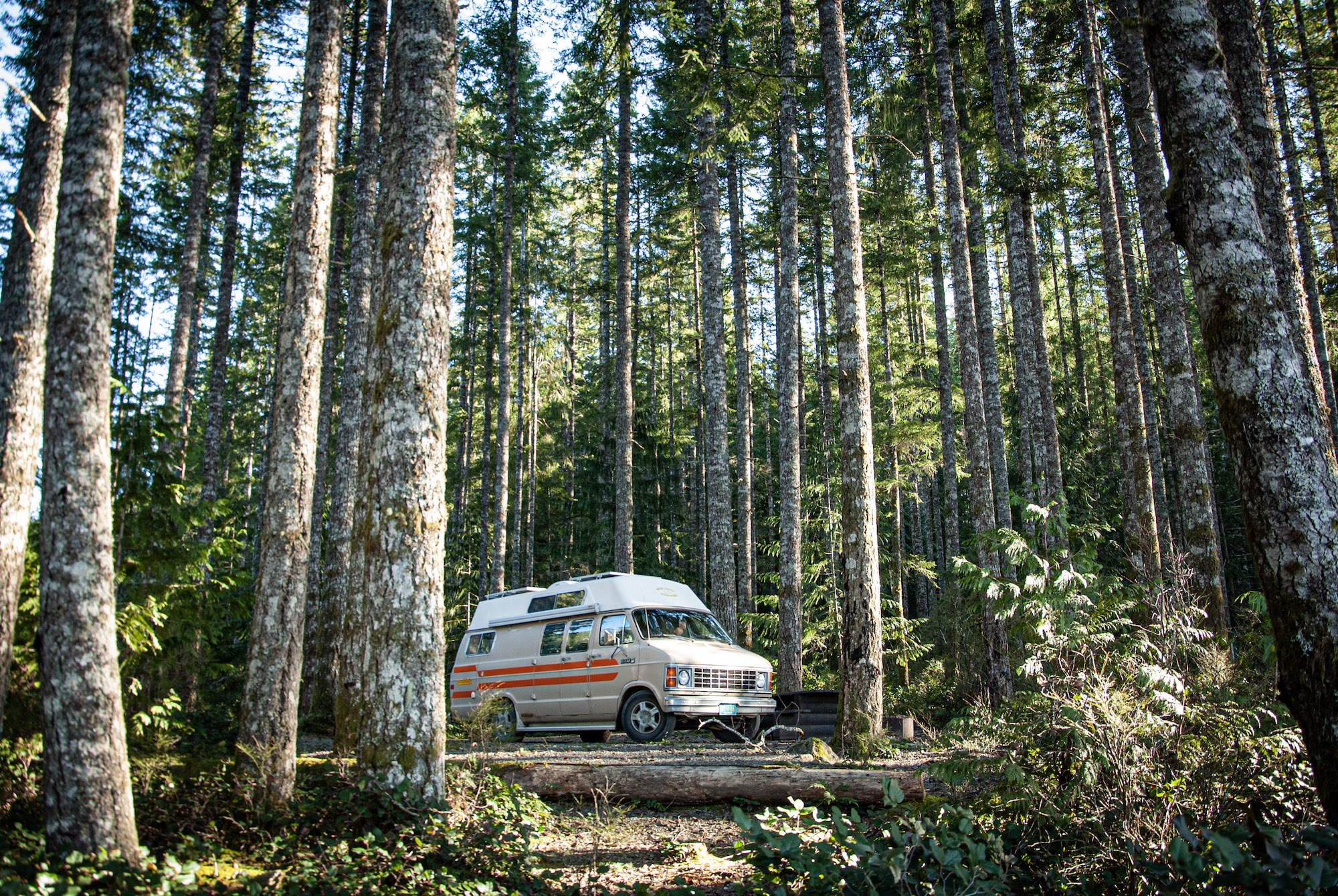 Generic Van Life - Pandemic Van Life - Alone in the Woods