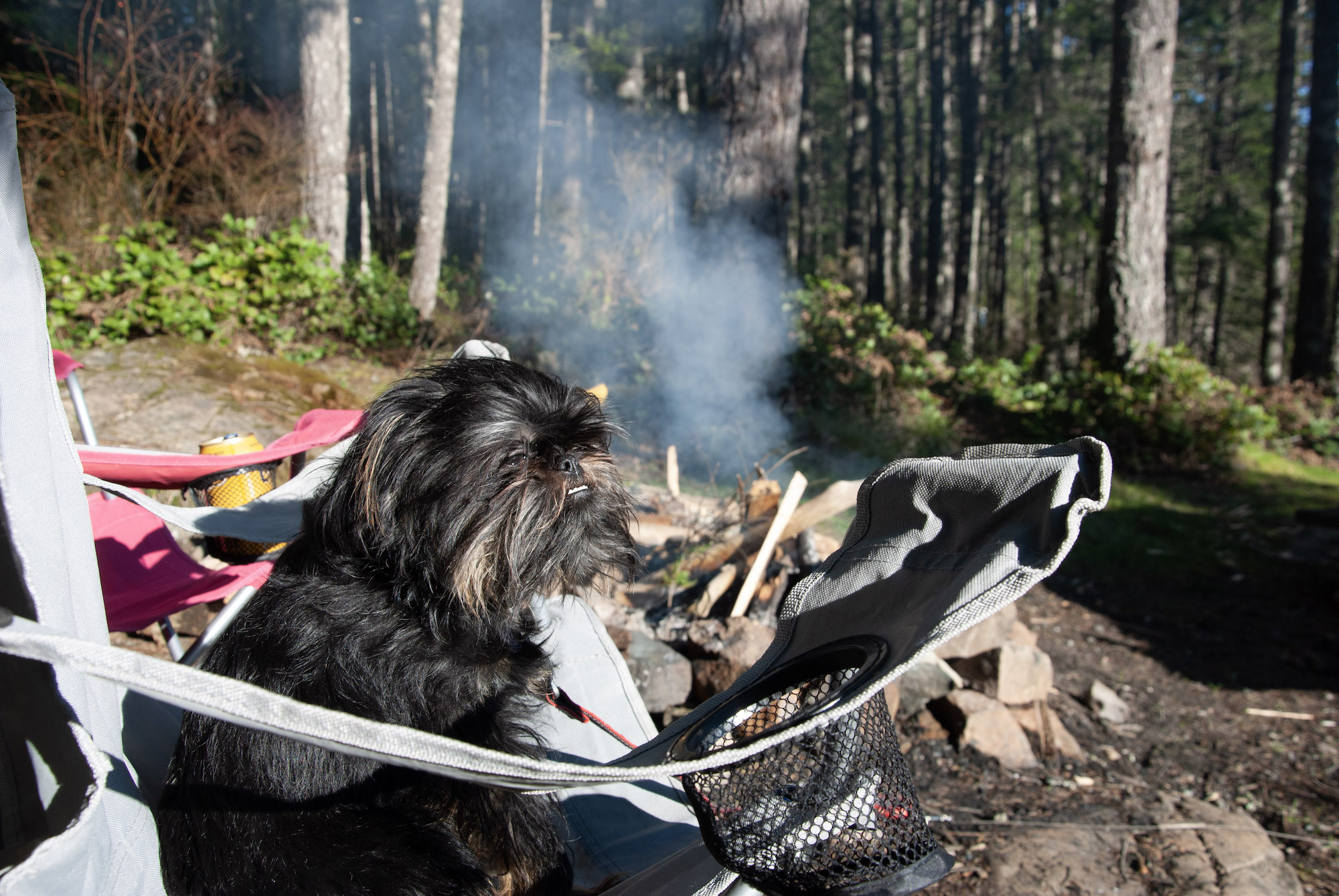 Generic Van Life - Pandemic Van Life - Pierogi with the Campfire