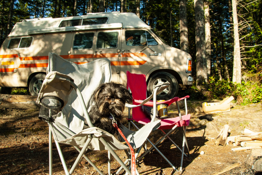 Pandemic Van Life - End of Van Life