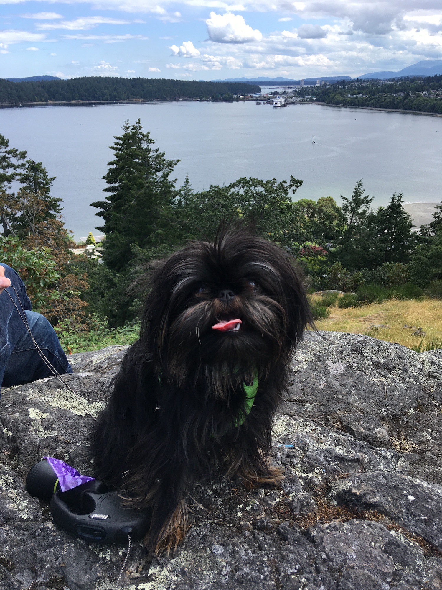 Generic Van Life - End of Van Life - Pierogi on Sugarloaf Mountain