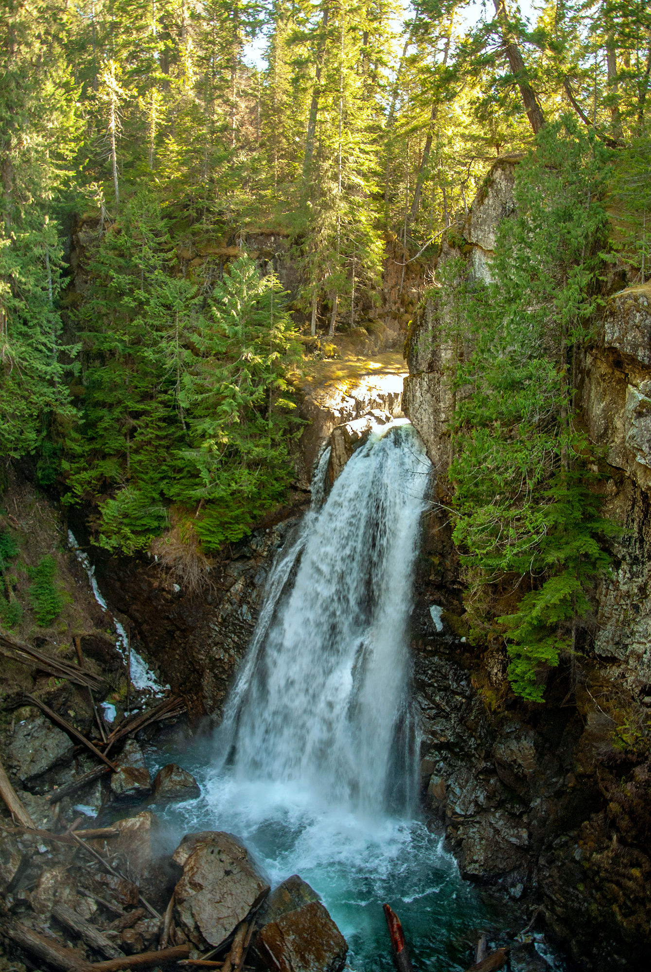 Generic Van Life - The Ultimate Vancouver Island Road Trip - Strathcona Park Lady Falls