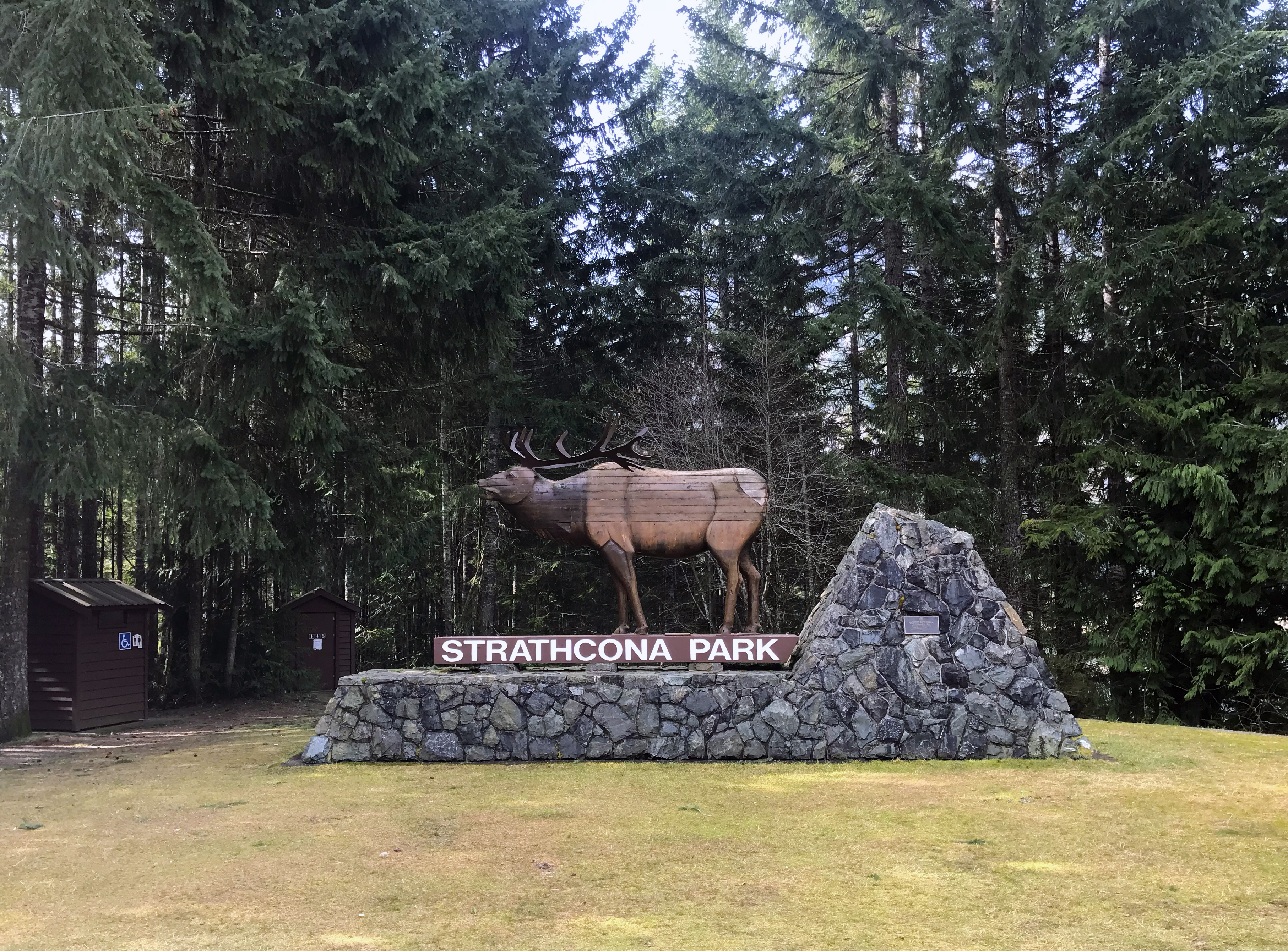 Generic Van Life - The Ultimate Vancouver Island Road Trip - Entrance to Strathcona Provincial Park Elk