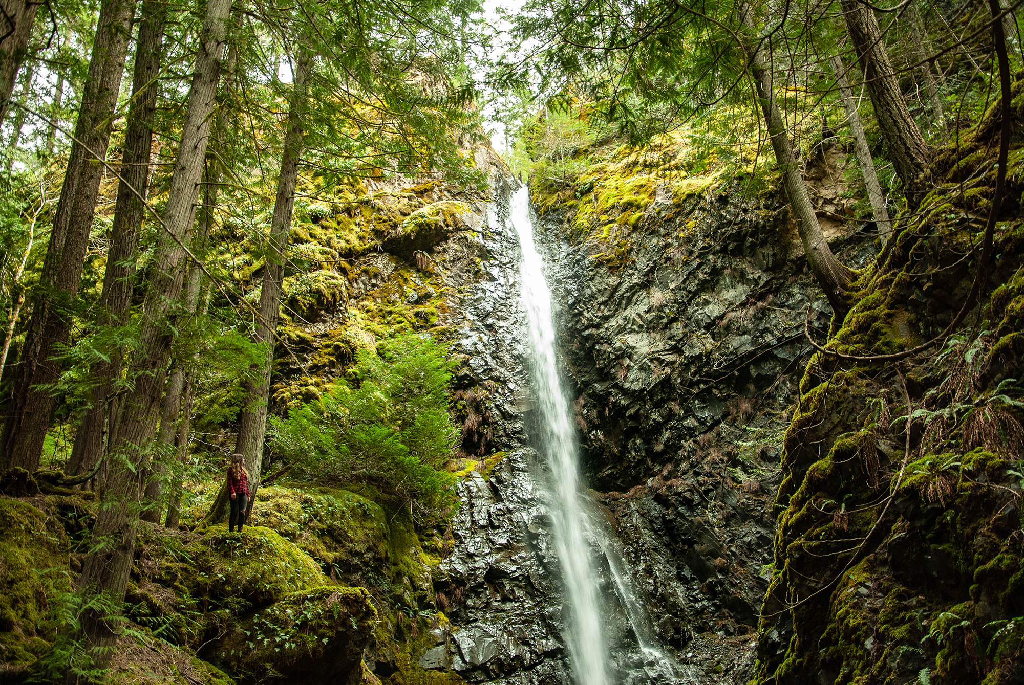 Generic Van Life - The Ultimate Vancouver Island Road Trip - Strathcona Park Lupin Falls