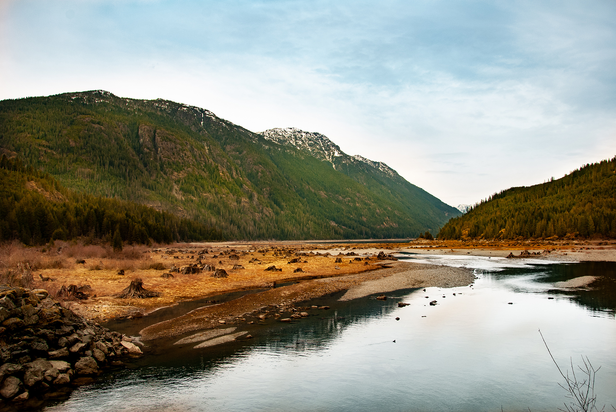 Generic Van Life - The Ultimate Vancouver Island Road Trip - Buttle Lake Strathcona Park