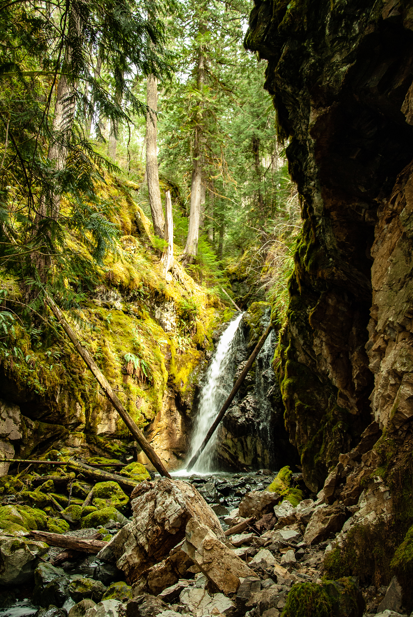 Generic Van Life - The Ultimate Vancouver Island Road Trip - Strathcona Park Karst Creek