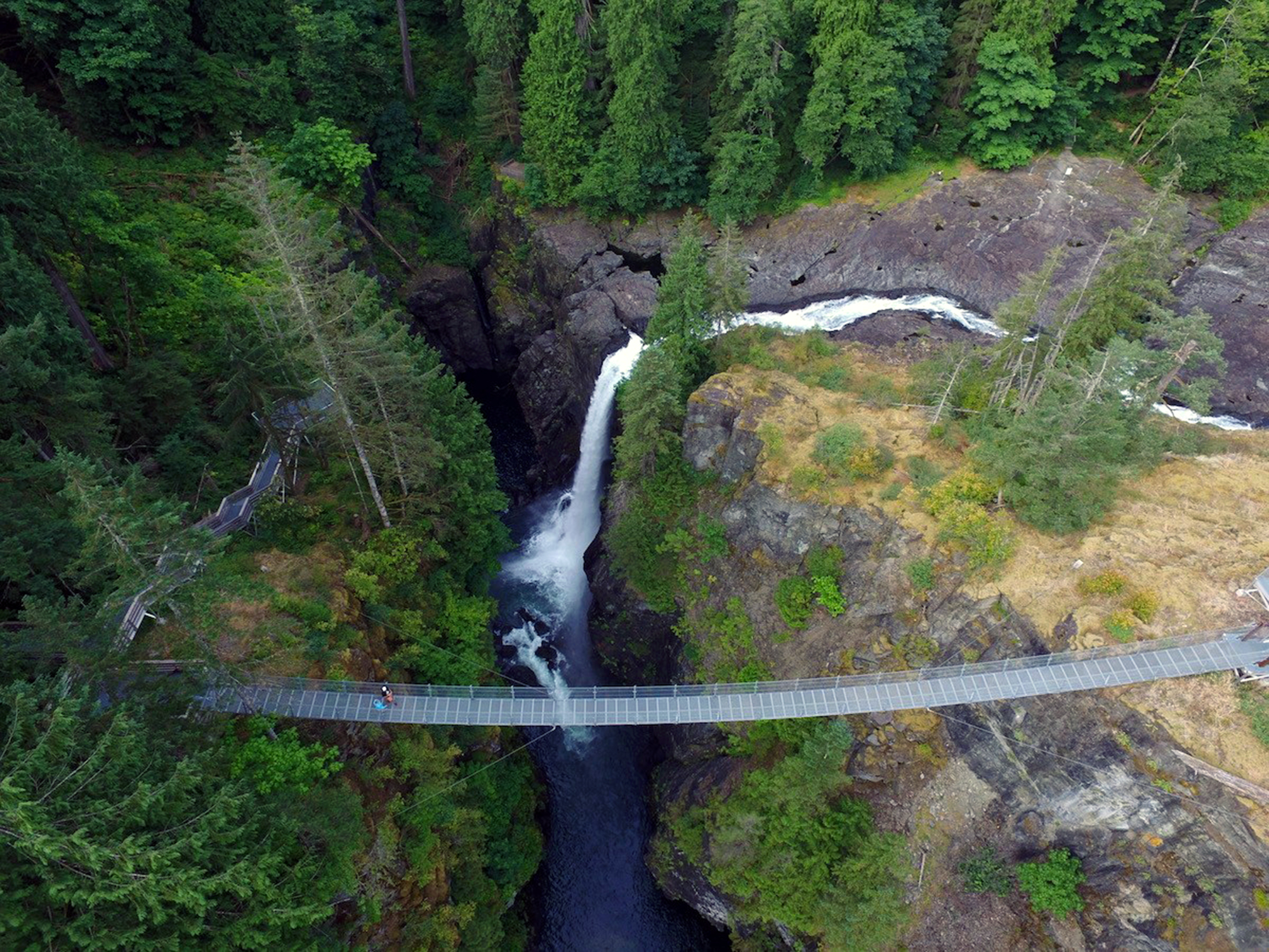 Generic Van Life - The Ultimate Vancouver Island Road Trip - Elk Falls Suspension Bridge