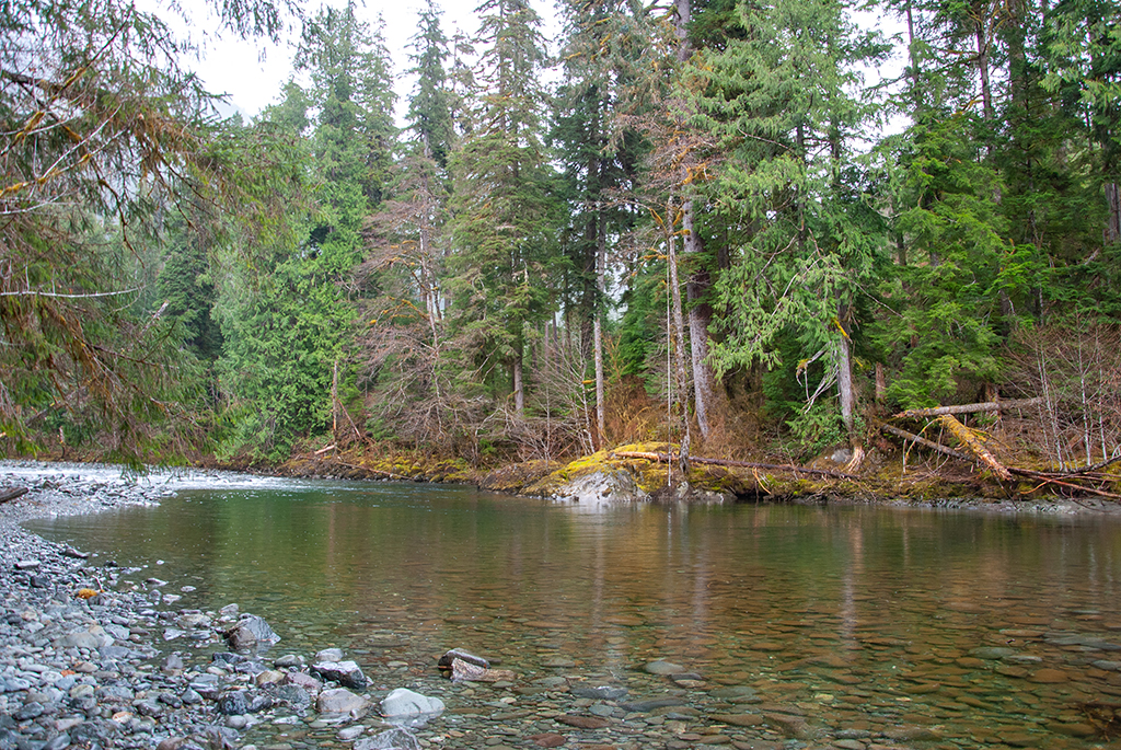 Generic Van Life - The Ultimate Vancouver Island Road Trip - Leiner River